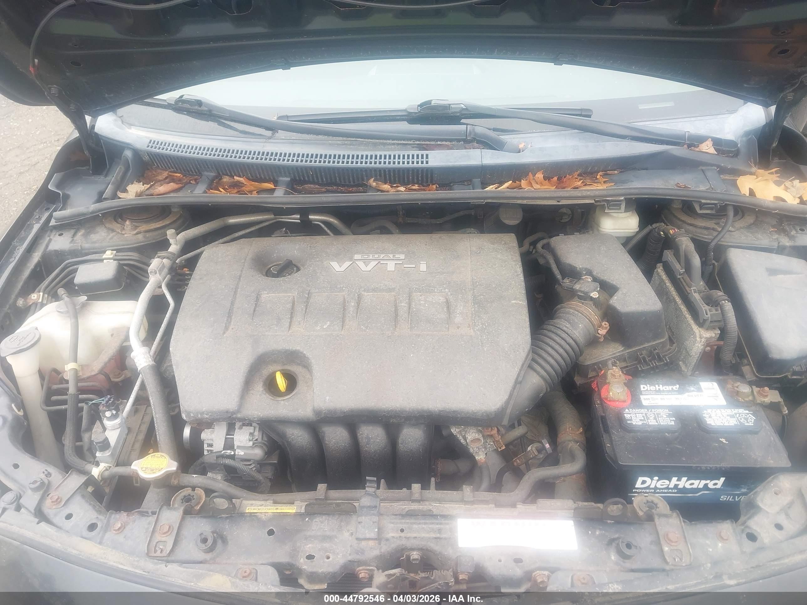 TOYOTA COROLLA image 10
