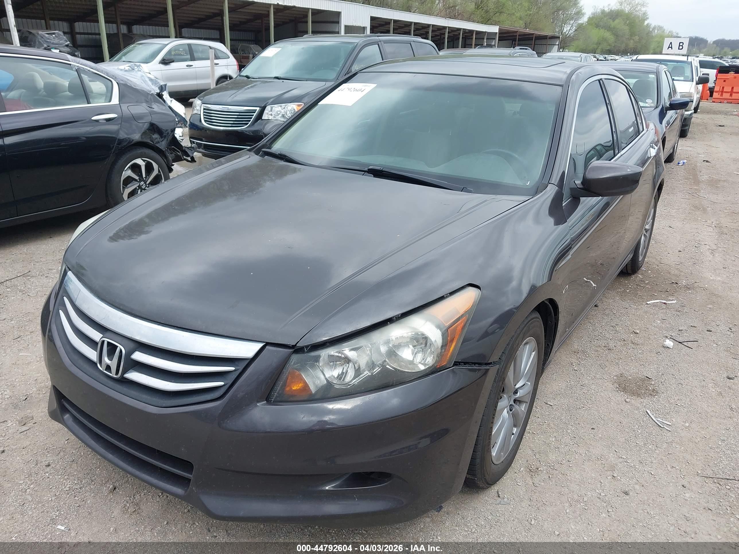 HONDA ACCORD image 2