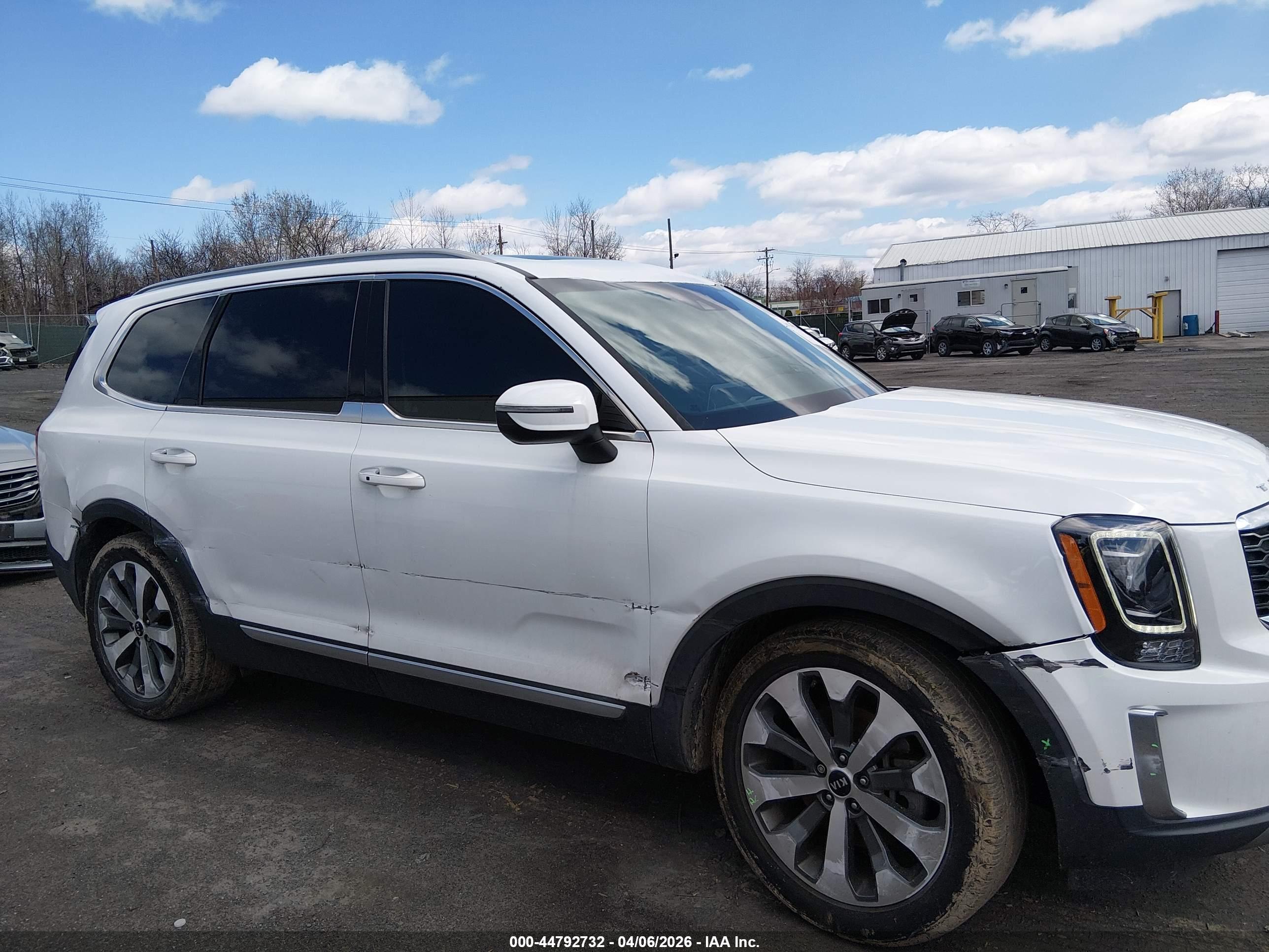 KIA TELLURIDE image 6