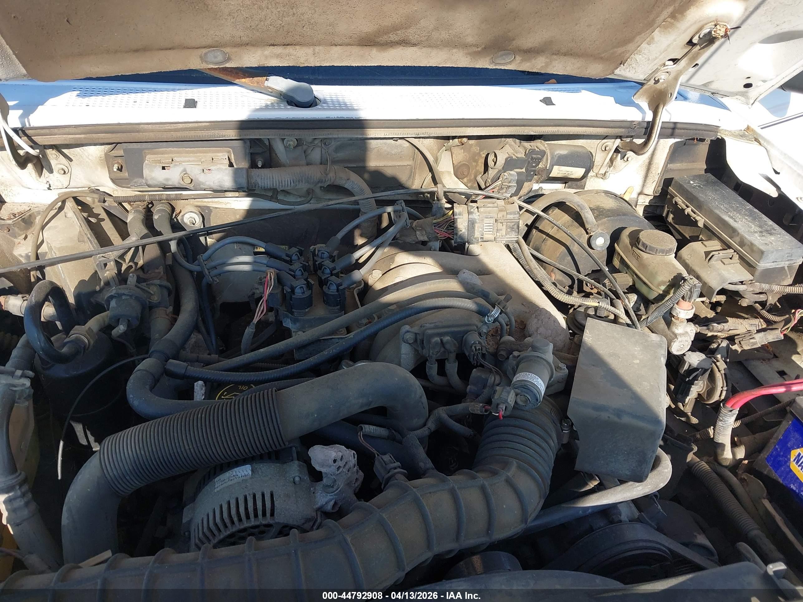 FORD RANGER image 10