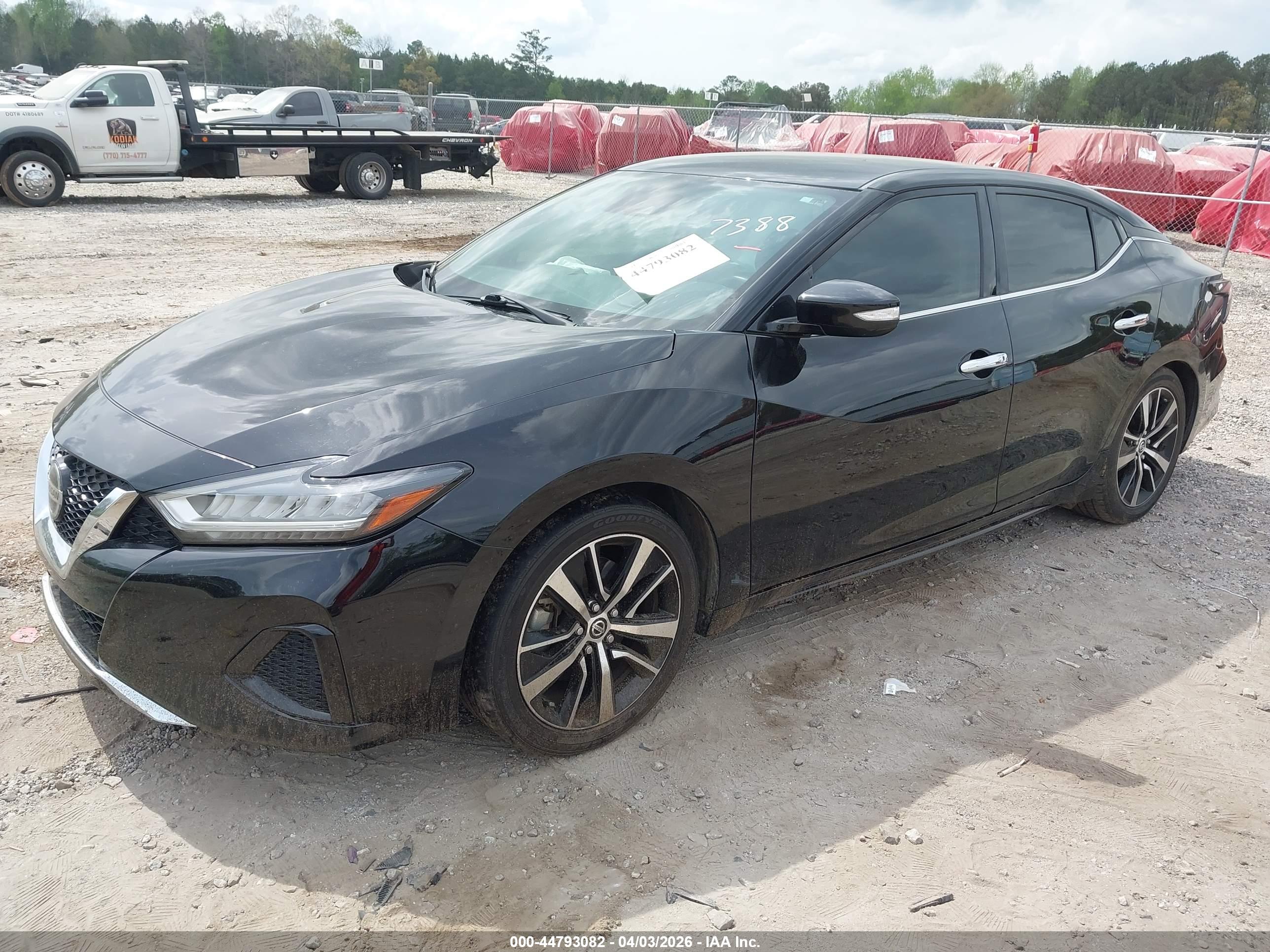 NISSAN MAXIMA image 2