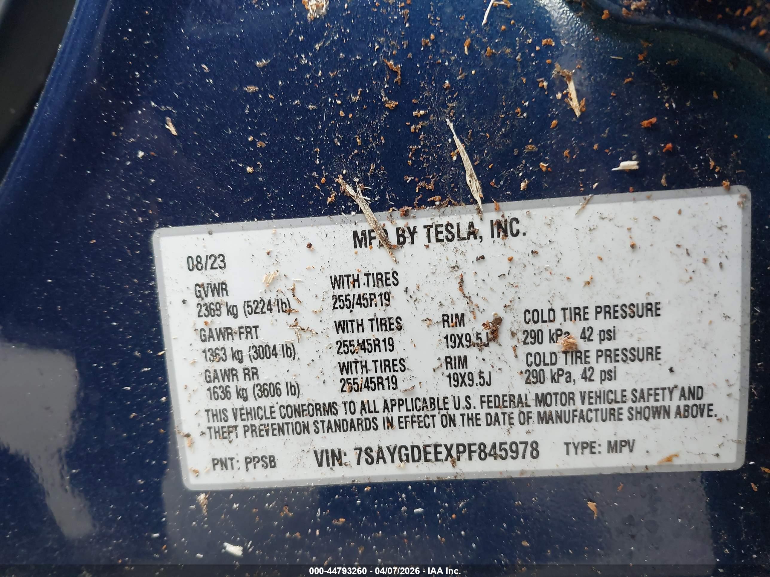 TESLA MODEL image 9