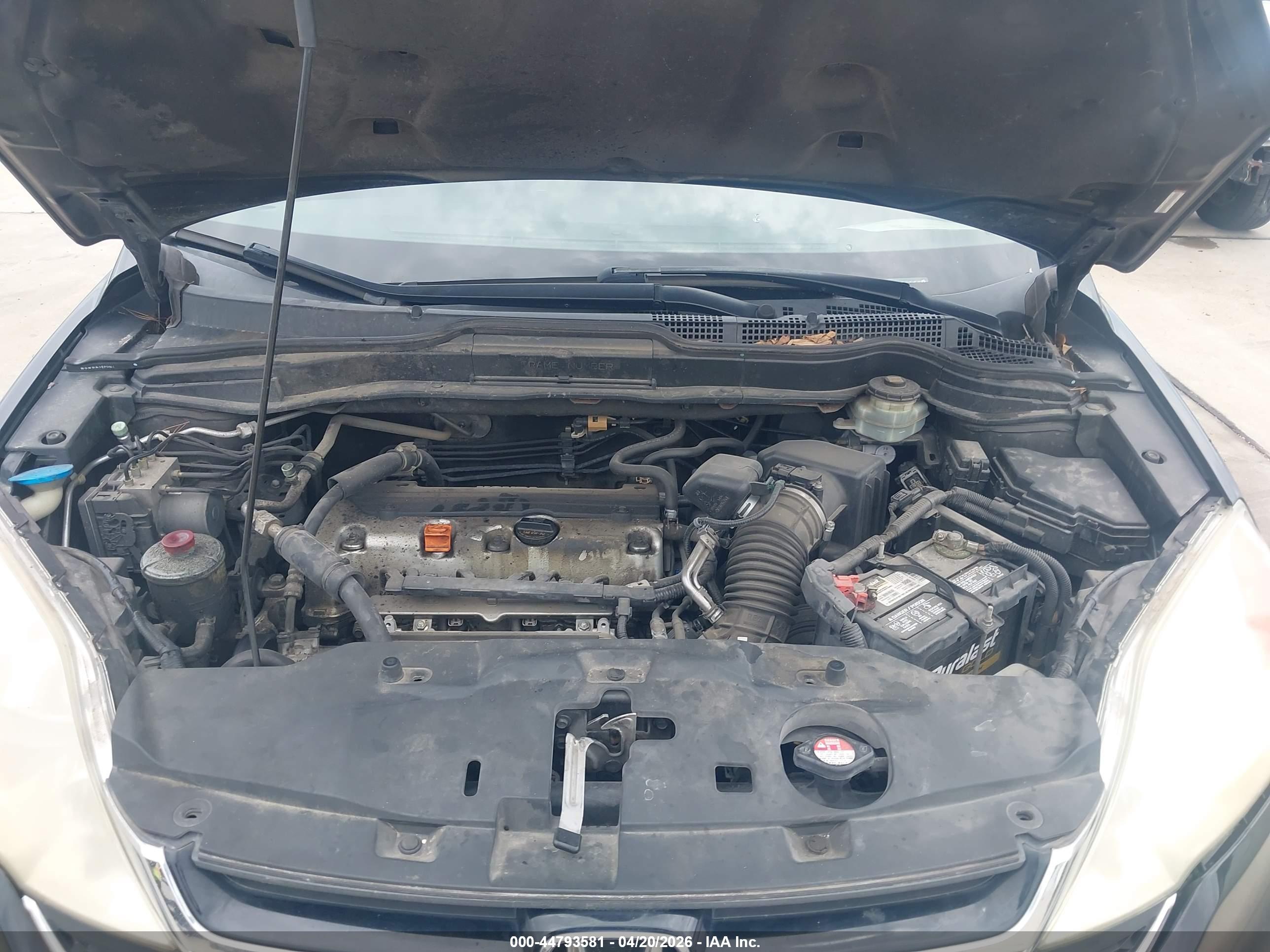 HONDA CR-V image 10