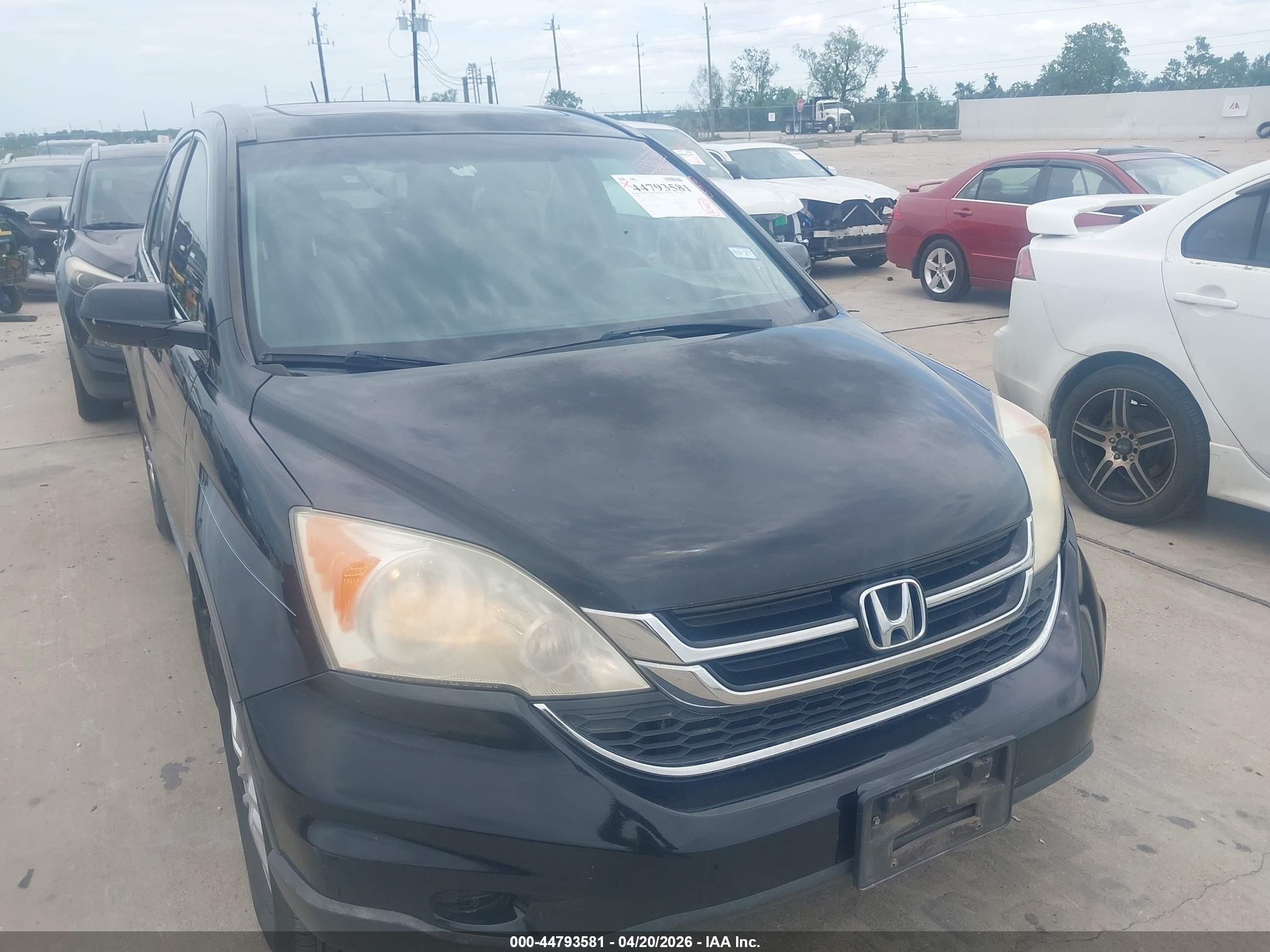 HONDA CR-V image 6