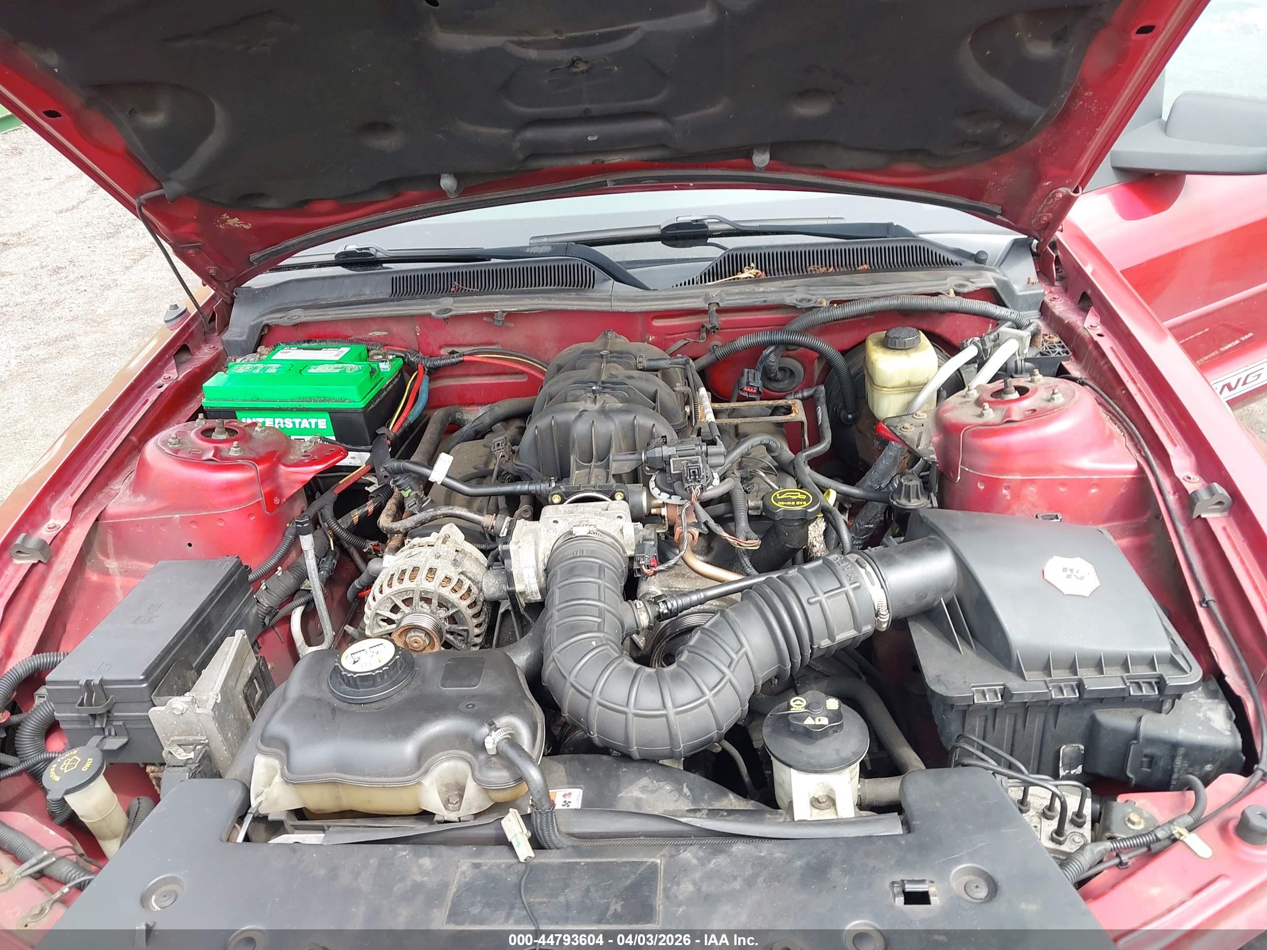 FORD MUSTANG image 10