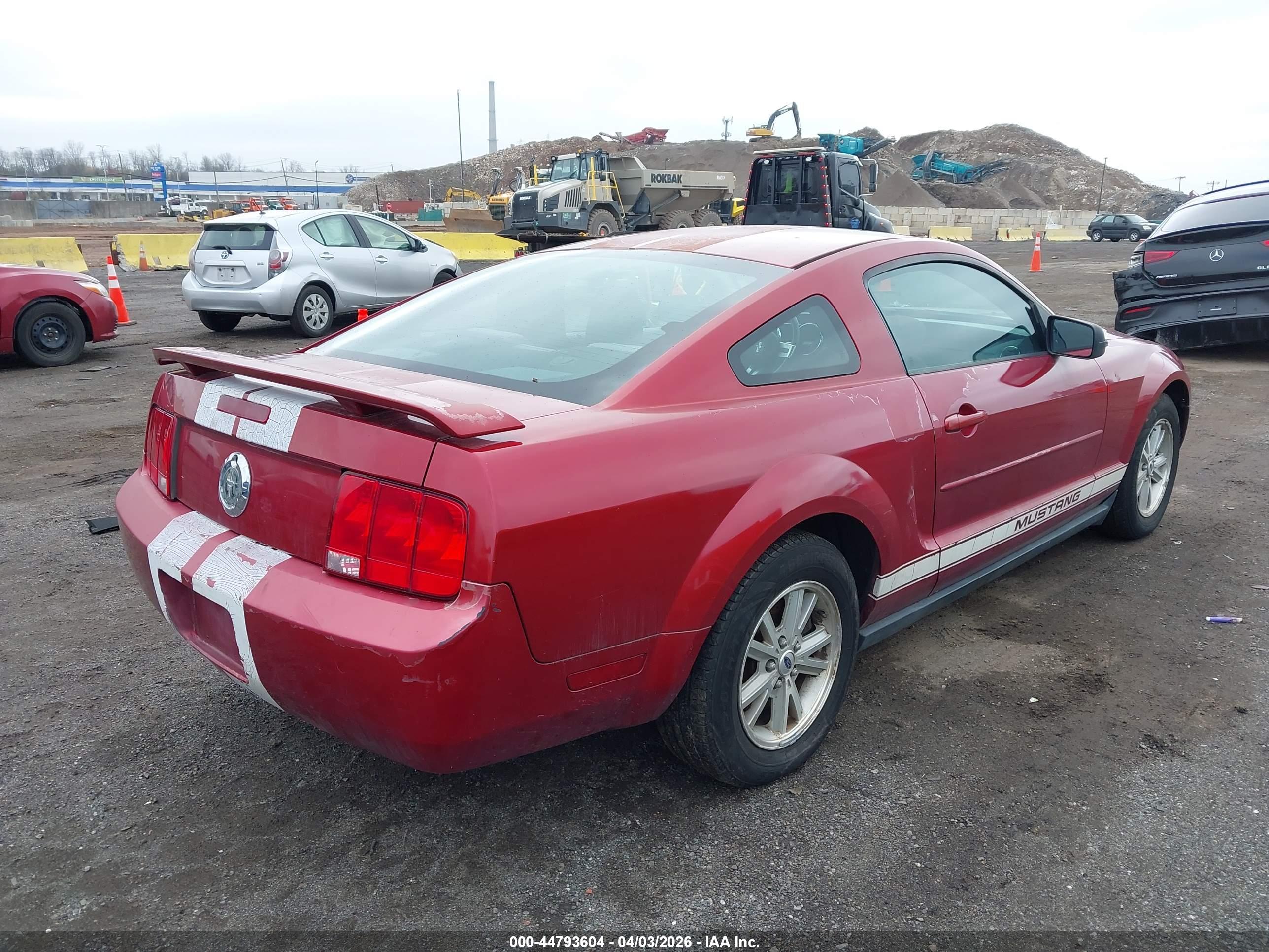 FORD MUSTANG image 4