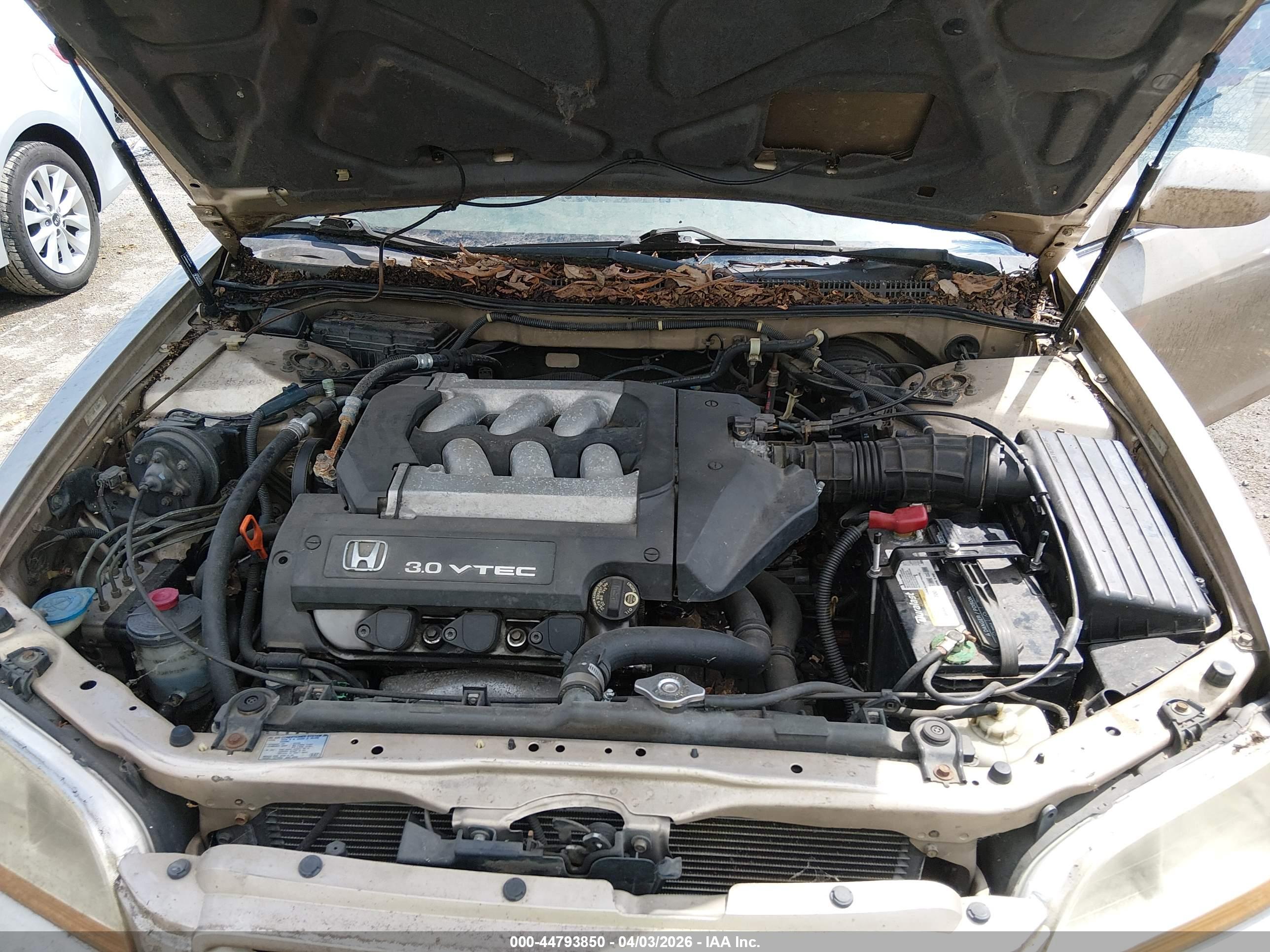 HONDA ACCORD image 10
