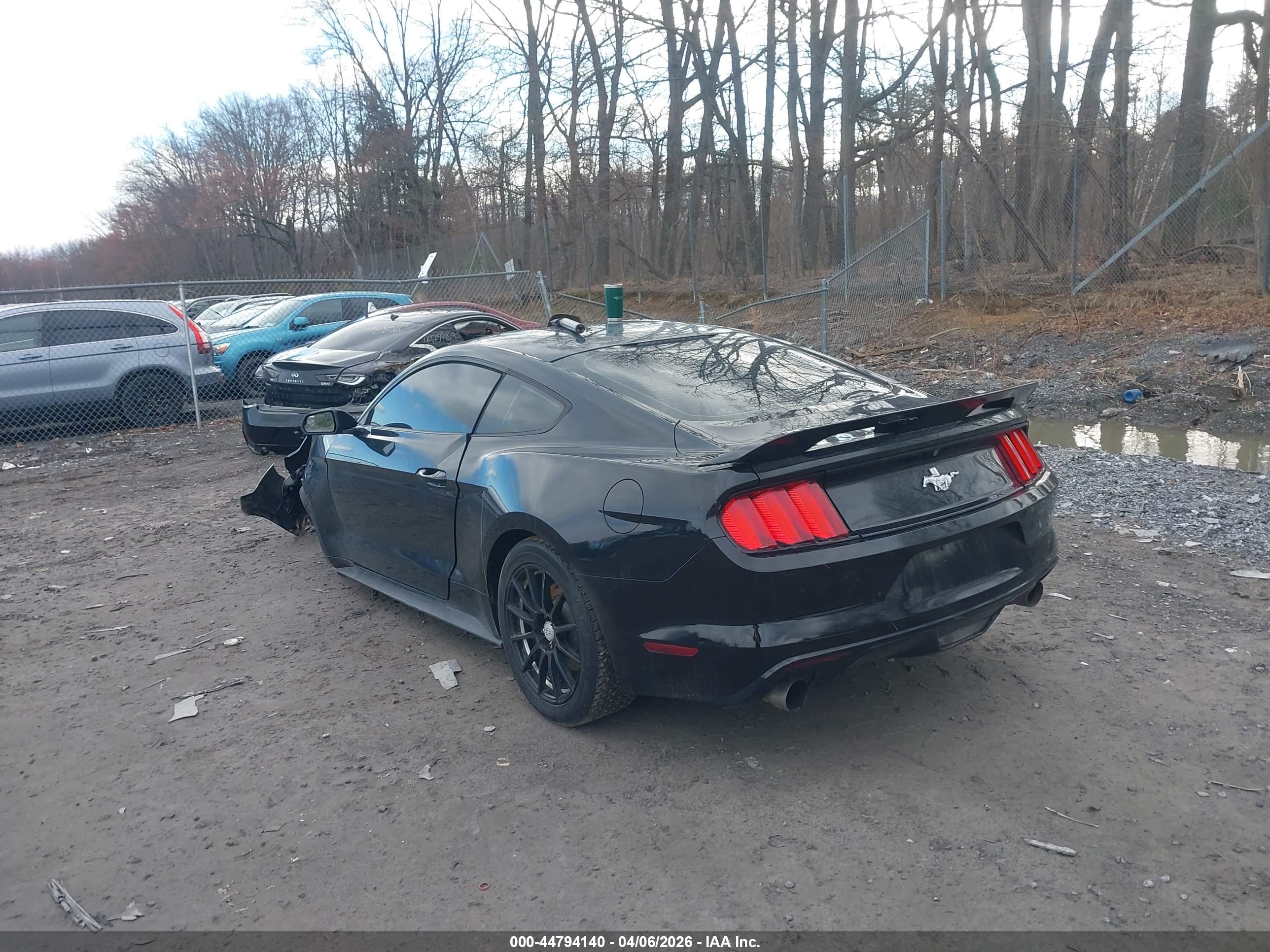 FORD MUSTANG image 3
