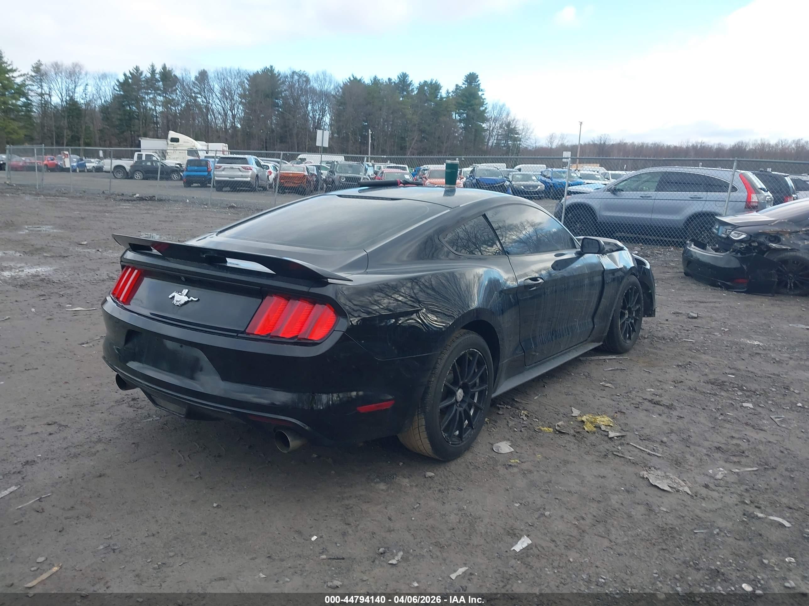 FORD MUSTANG image 4