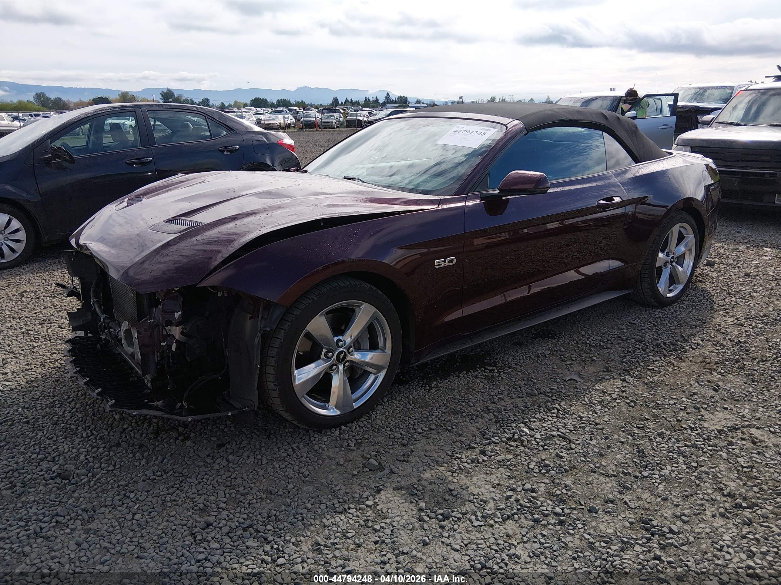 FORD MUSTANG image 2