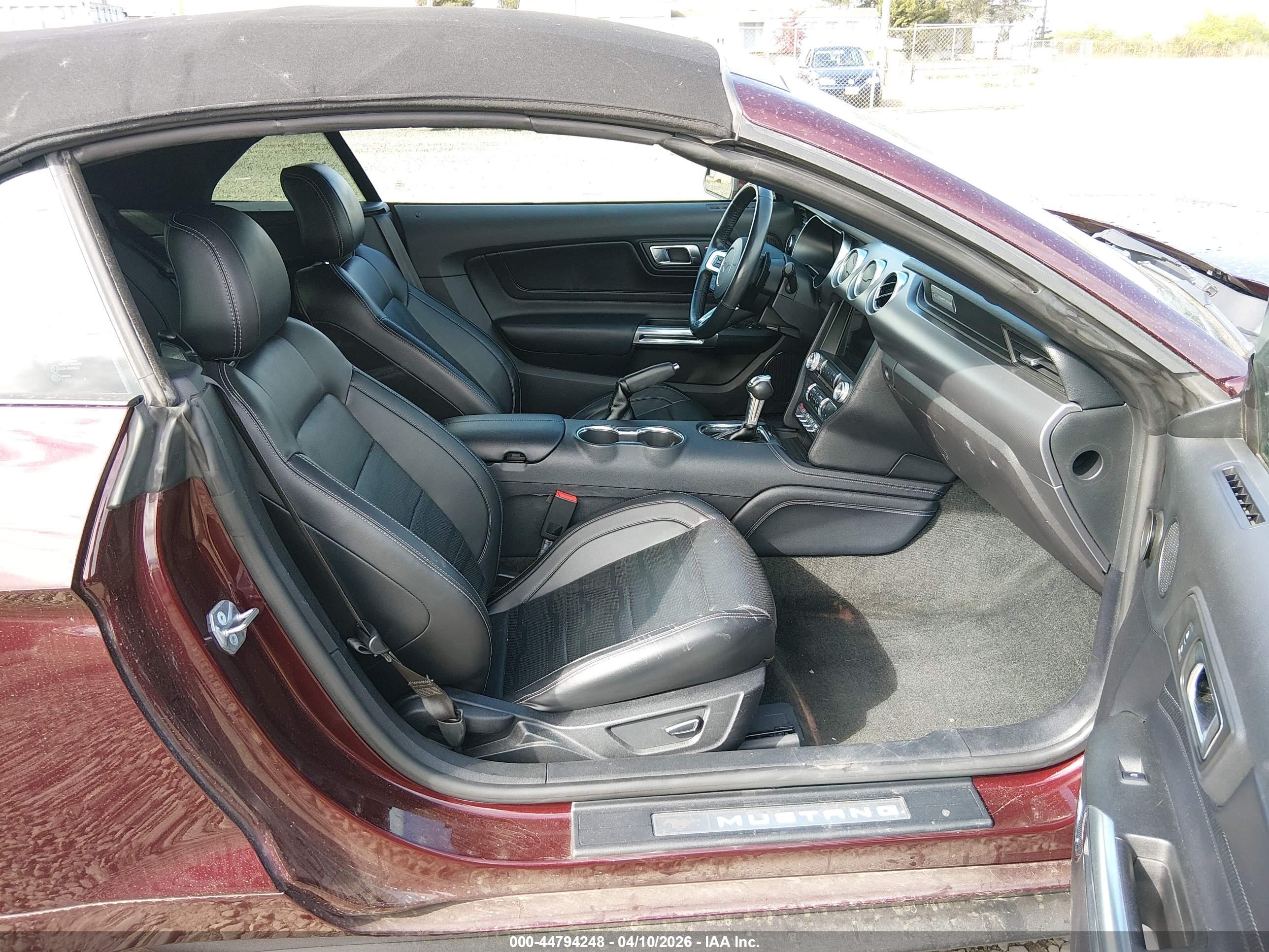 FORD MUSTANG image 5