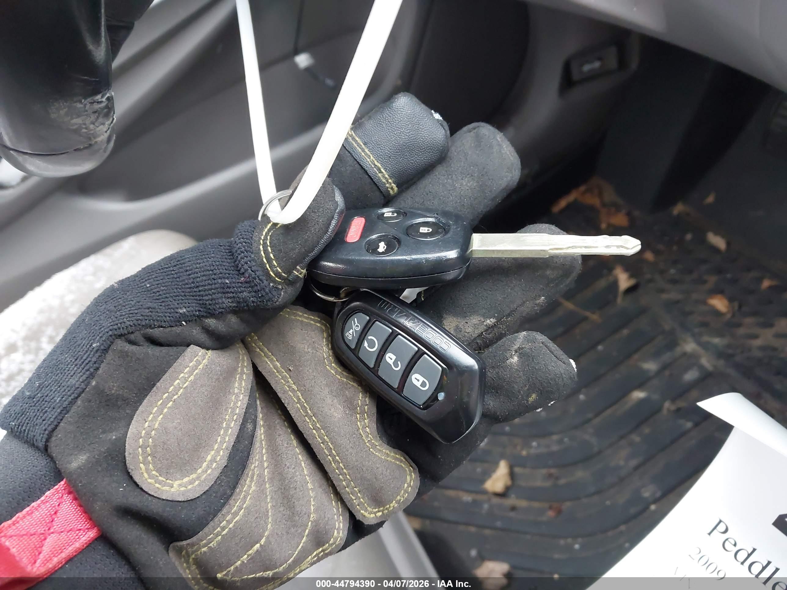 HONDA ACCORD image 11
