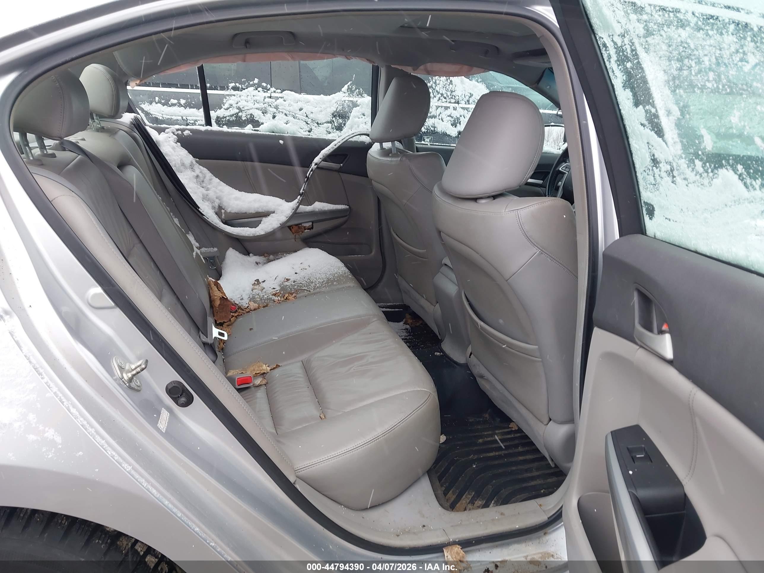 HONDA ACCORD image 8