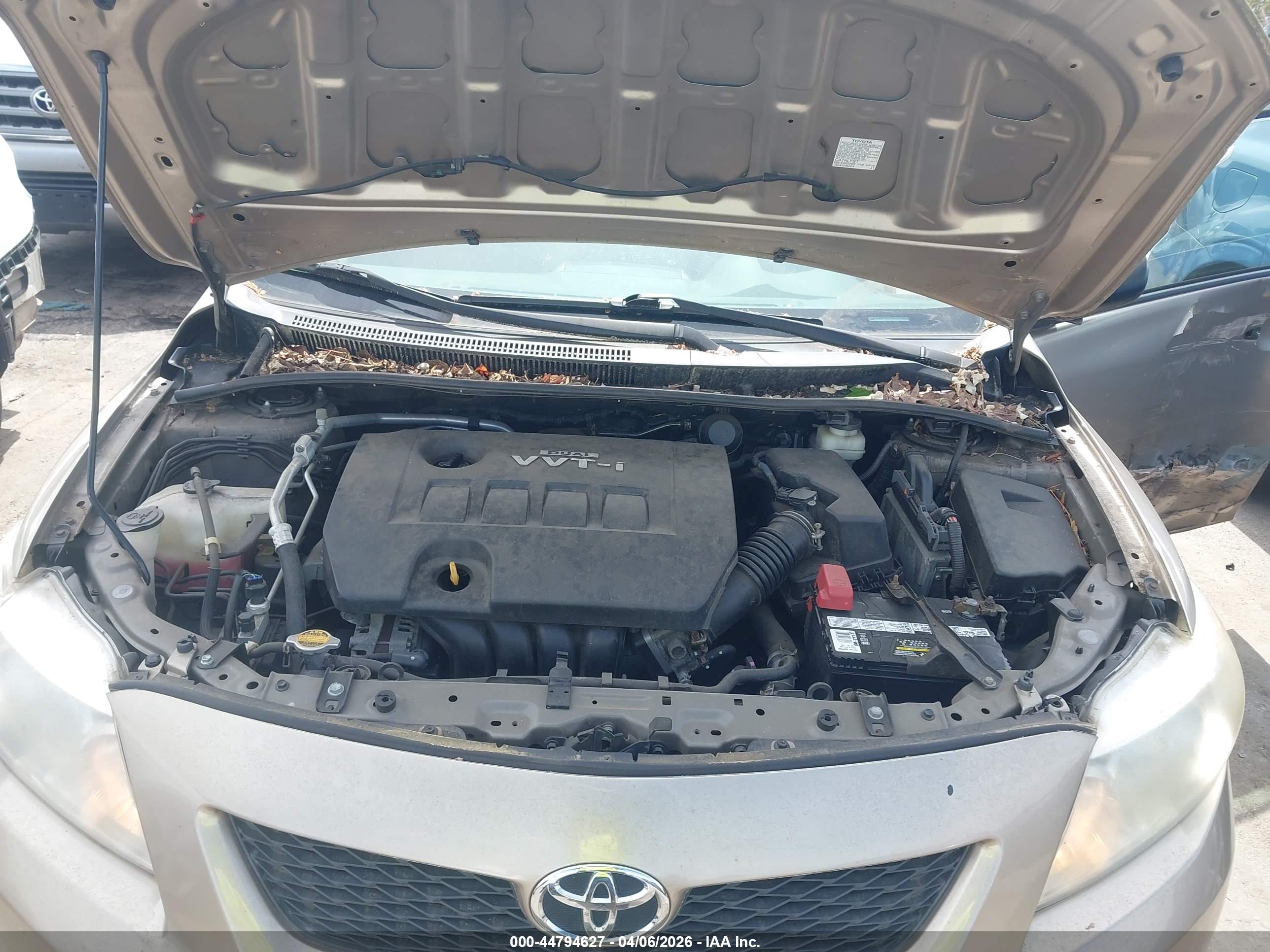 TOYOTA COROLLA image 10