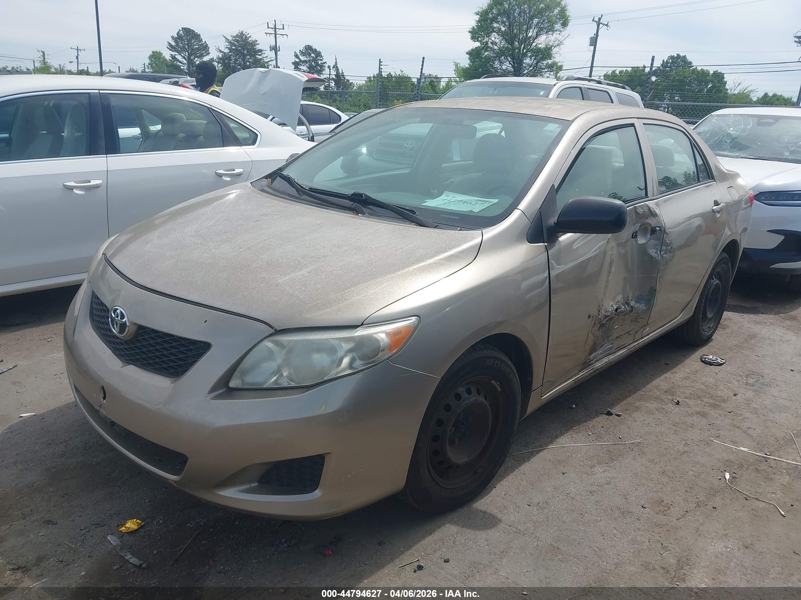 TOYOTA COROLLA image 2