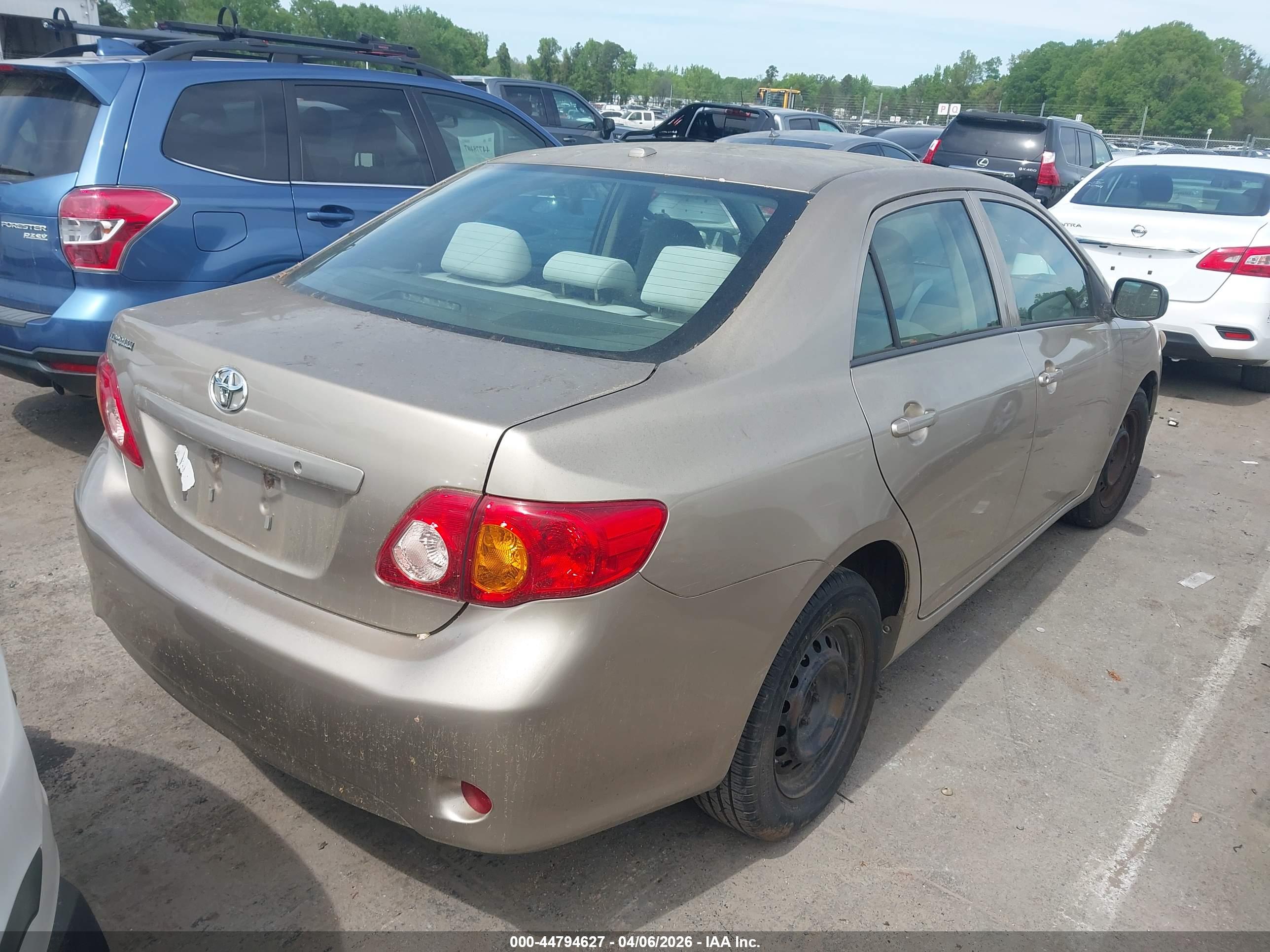 TOYOTA COROLLA image 4