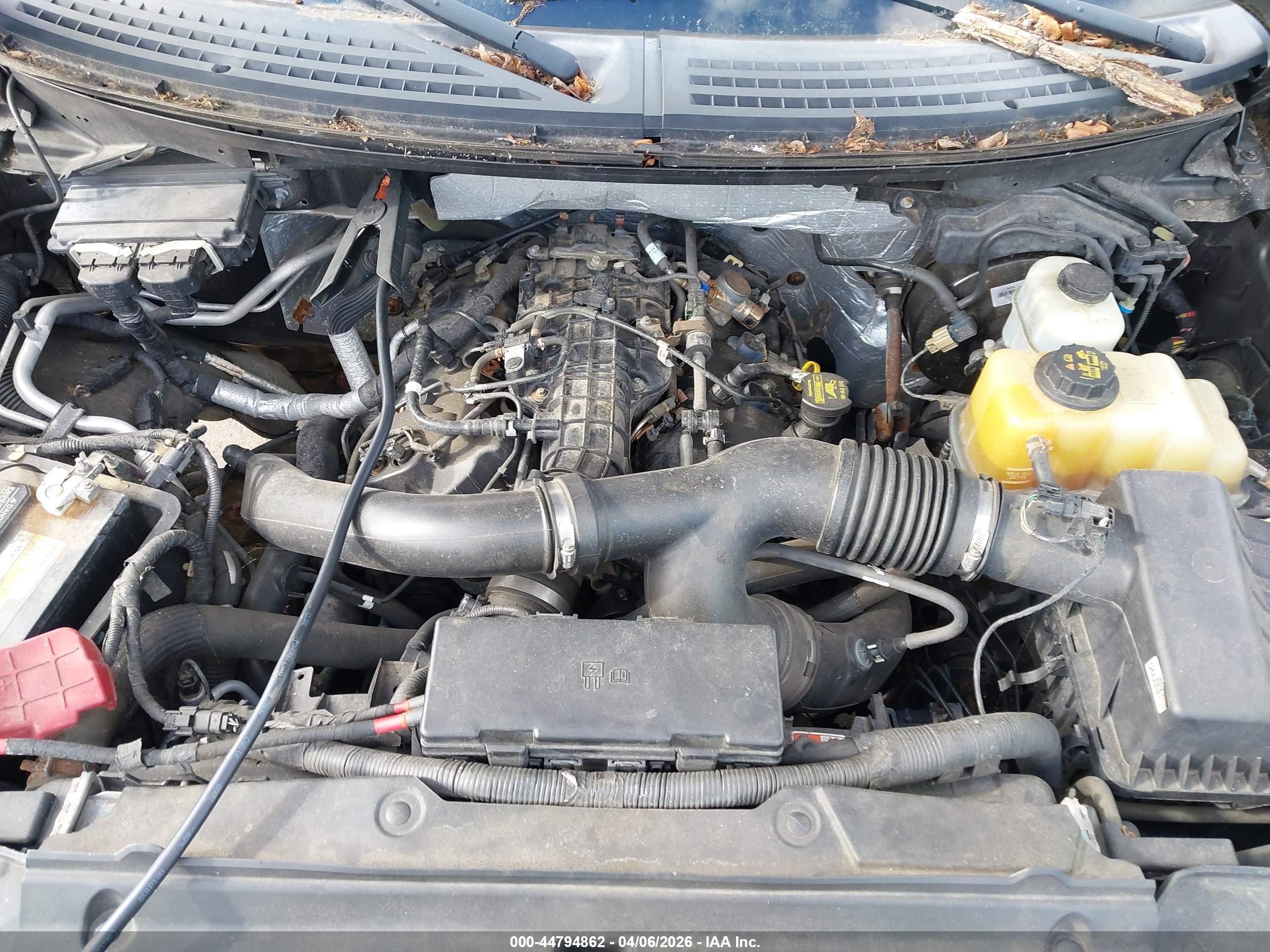 FORD F-150 image 10