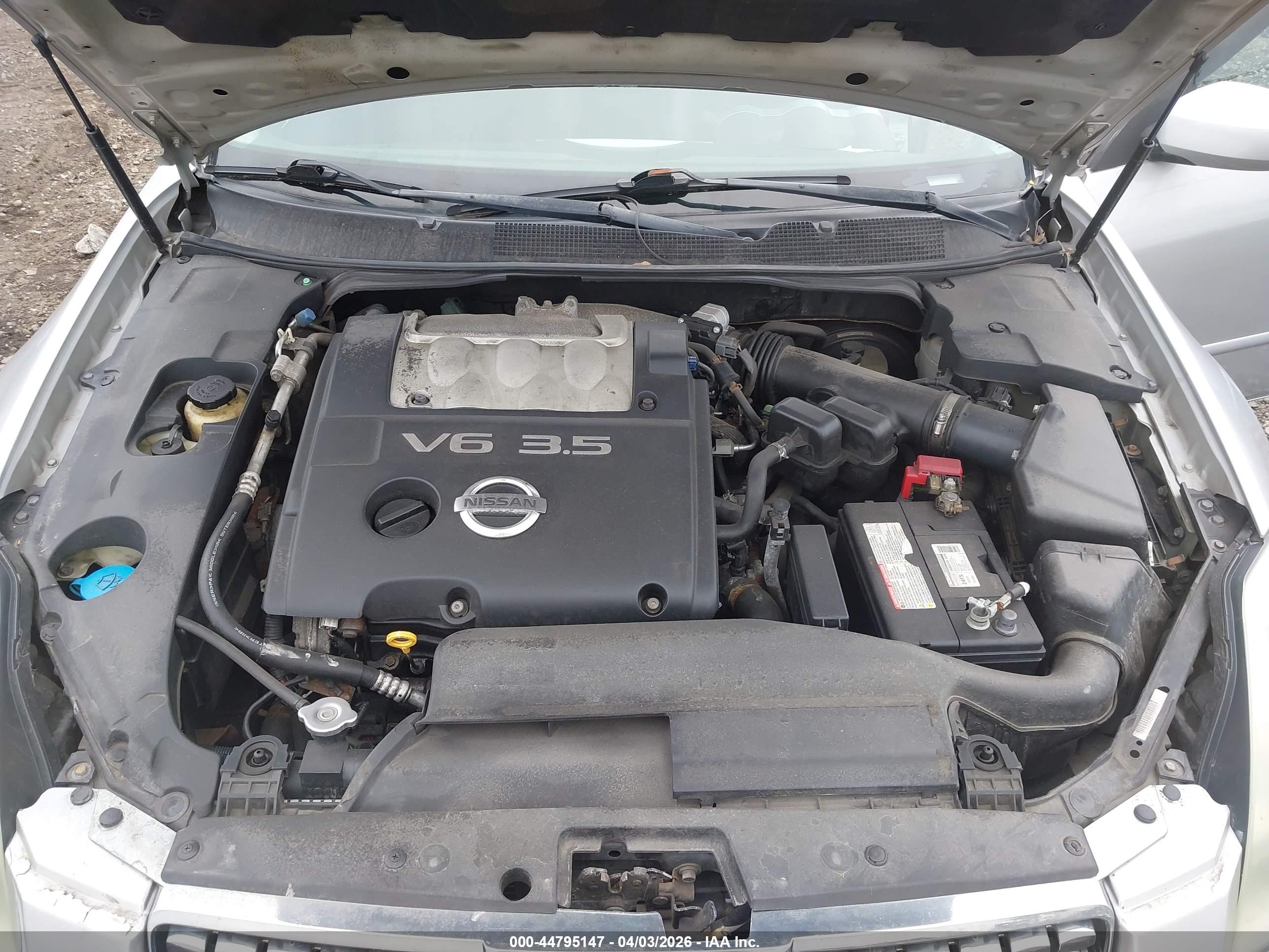 NISSAN MAXIMA image 10