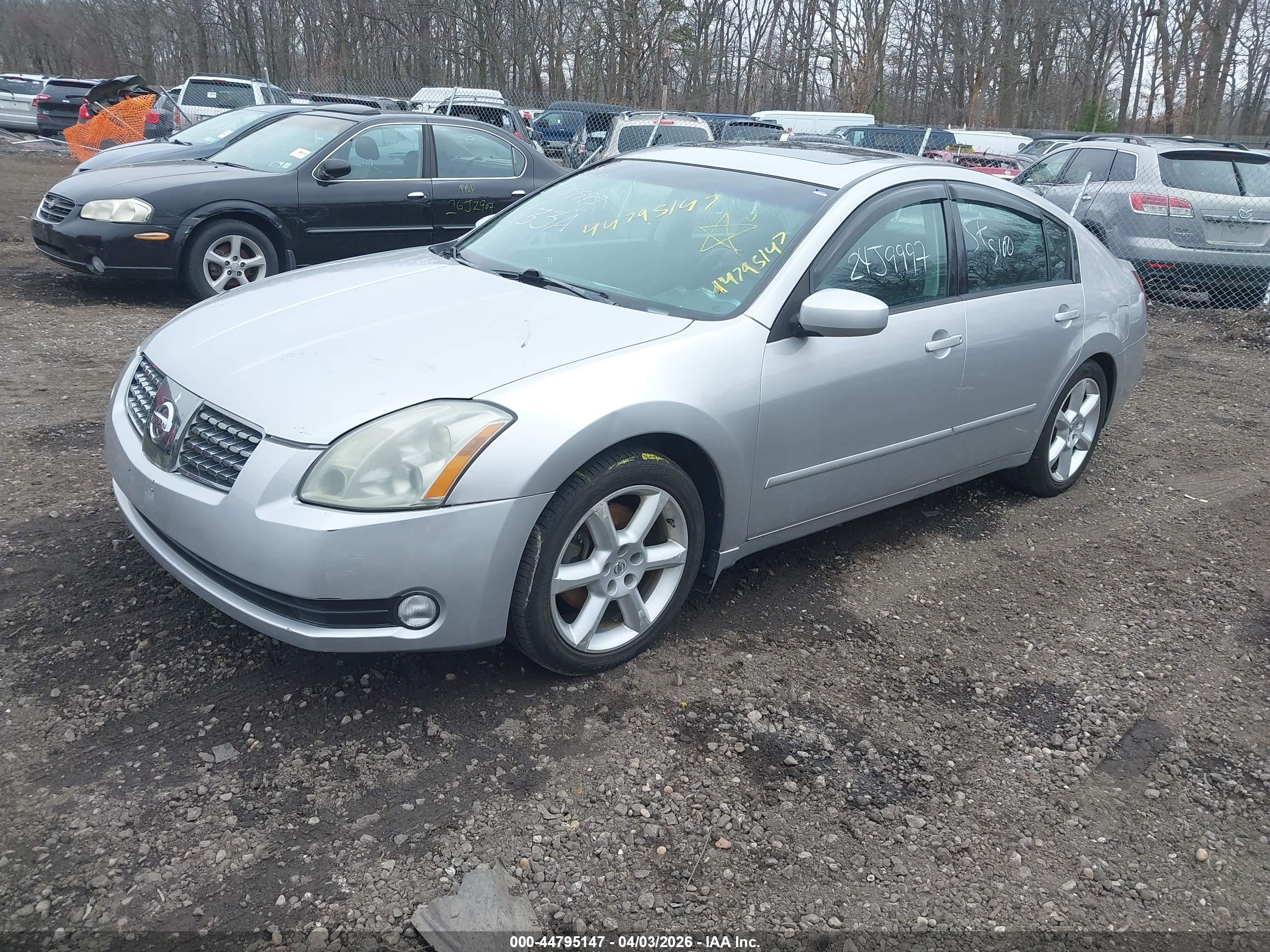 NISSAN MAXIMA image 2