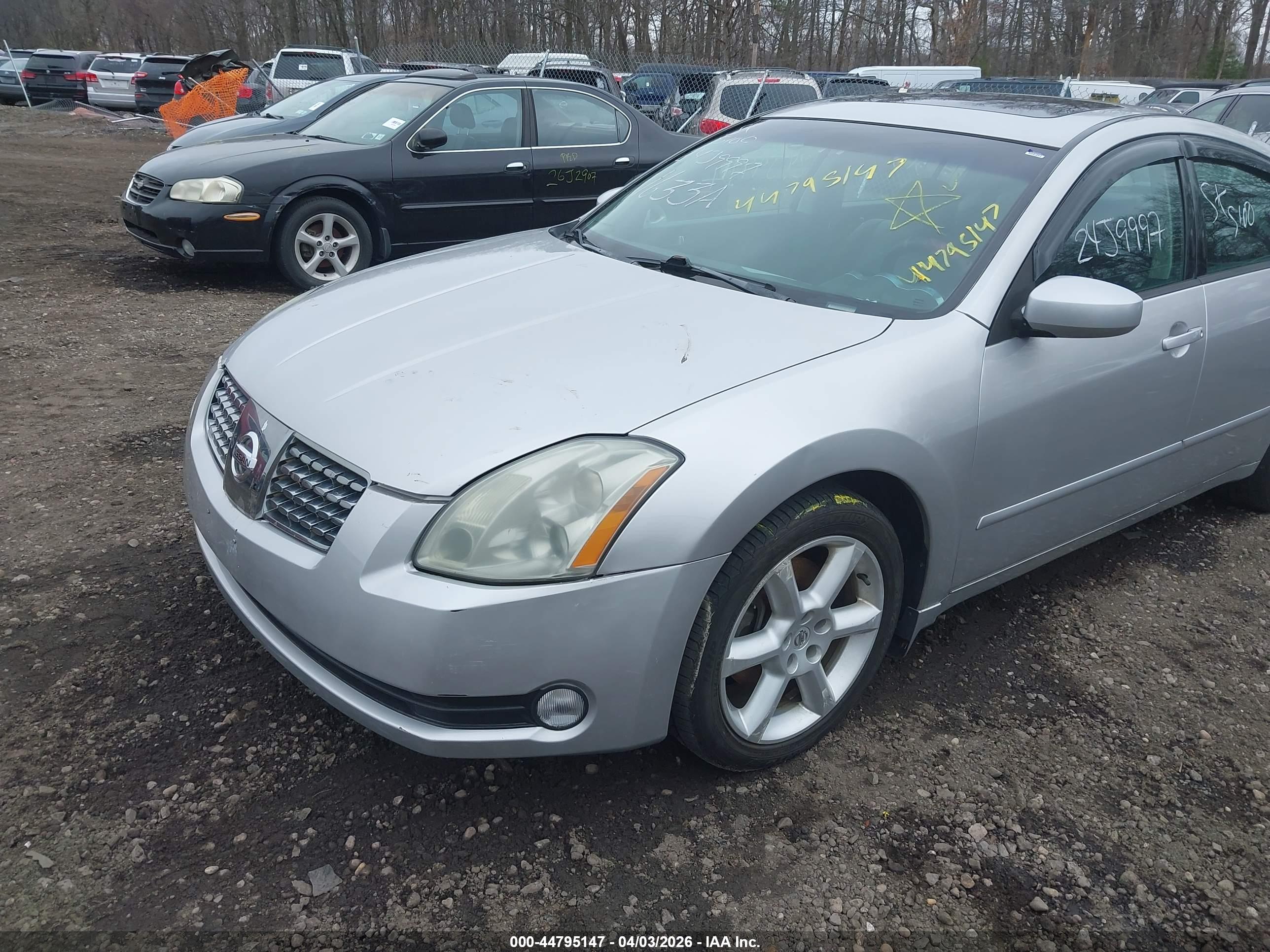 NISSAN MAXIMA image 6