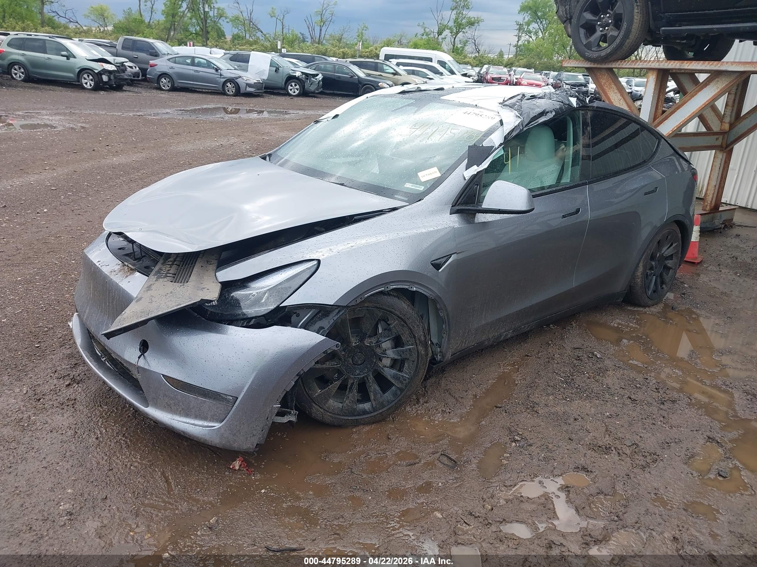 TESLA MODEL image 2
