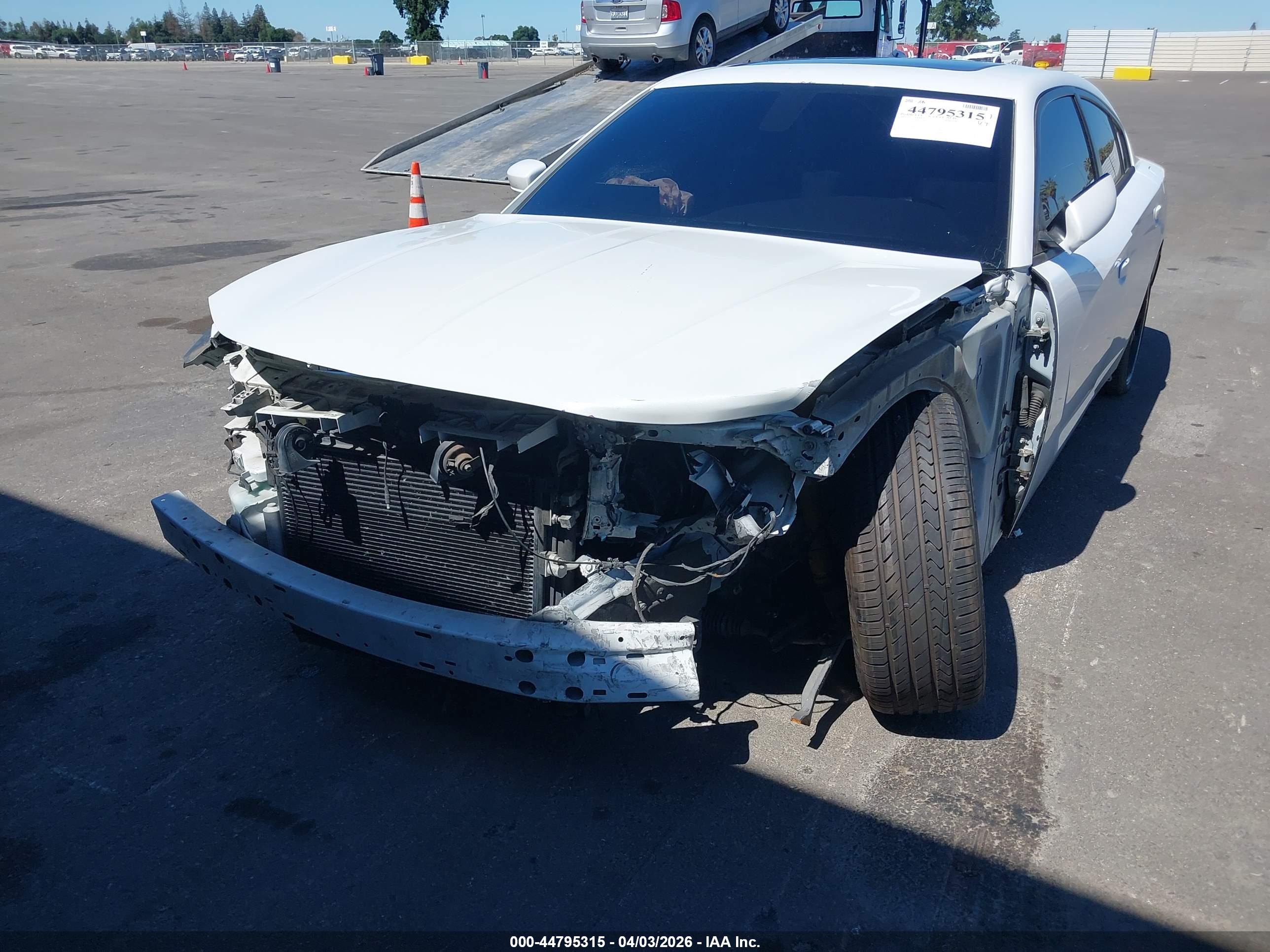 DODGE CHARGER image 6