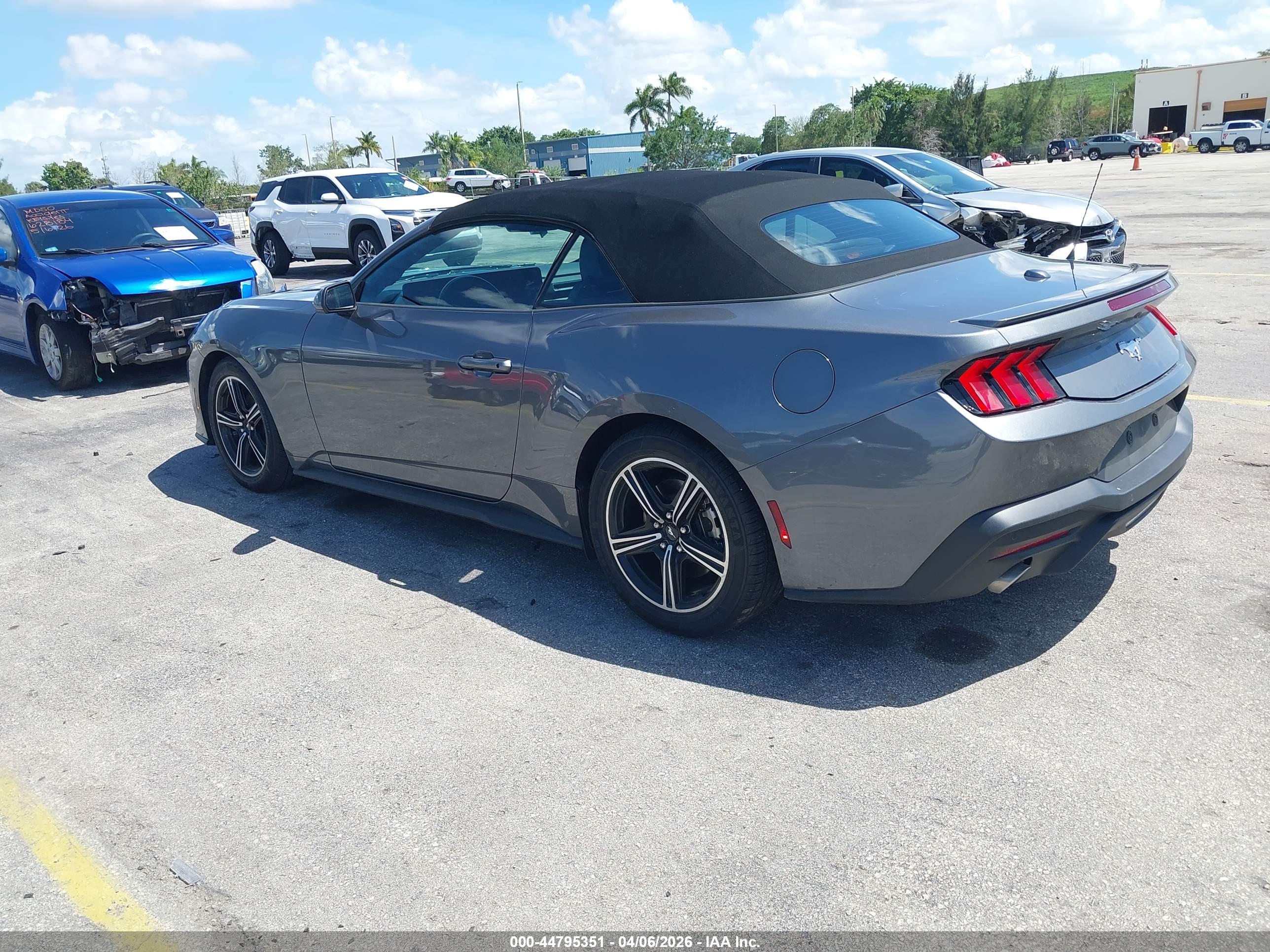 FORD MUSTANG image 3
