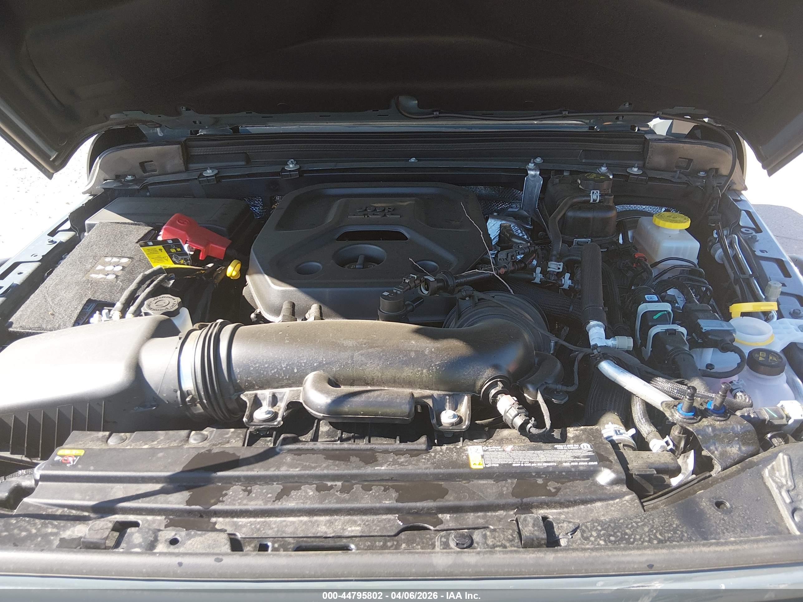 JEEP WRANGLER image 10