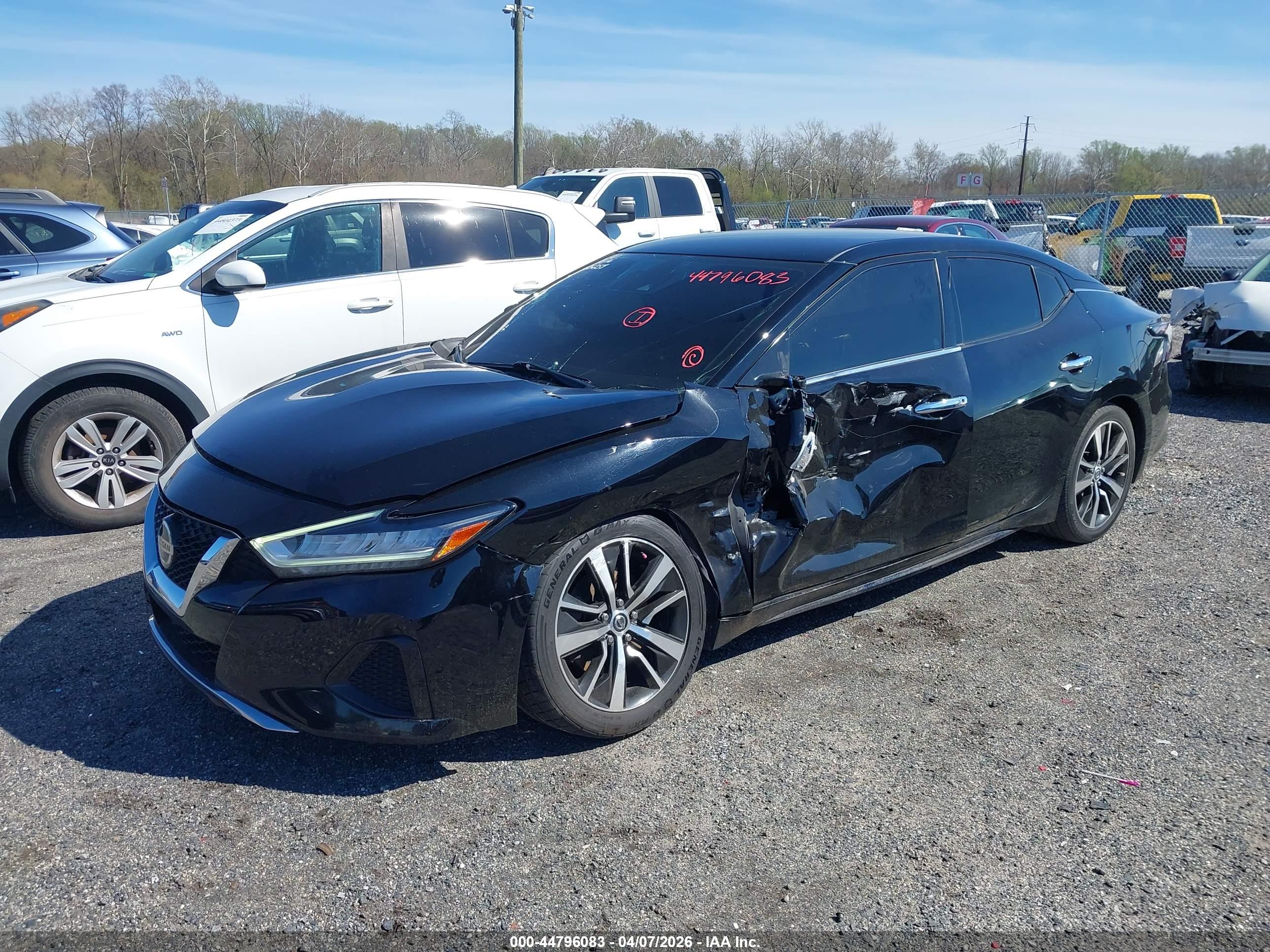 NISSAN MAXIMA image 2