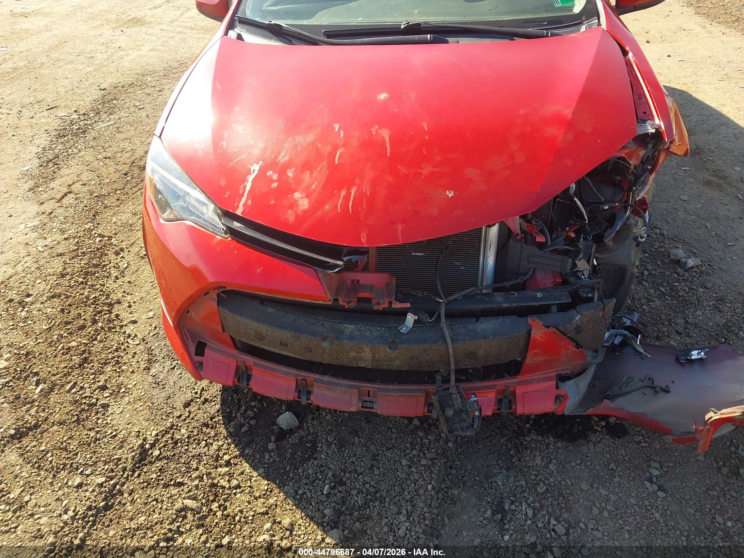 TOYOTA COROLLA image 6