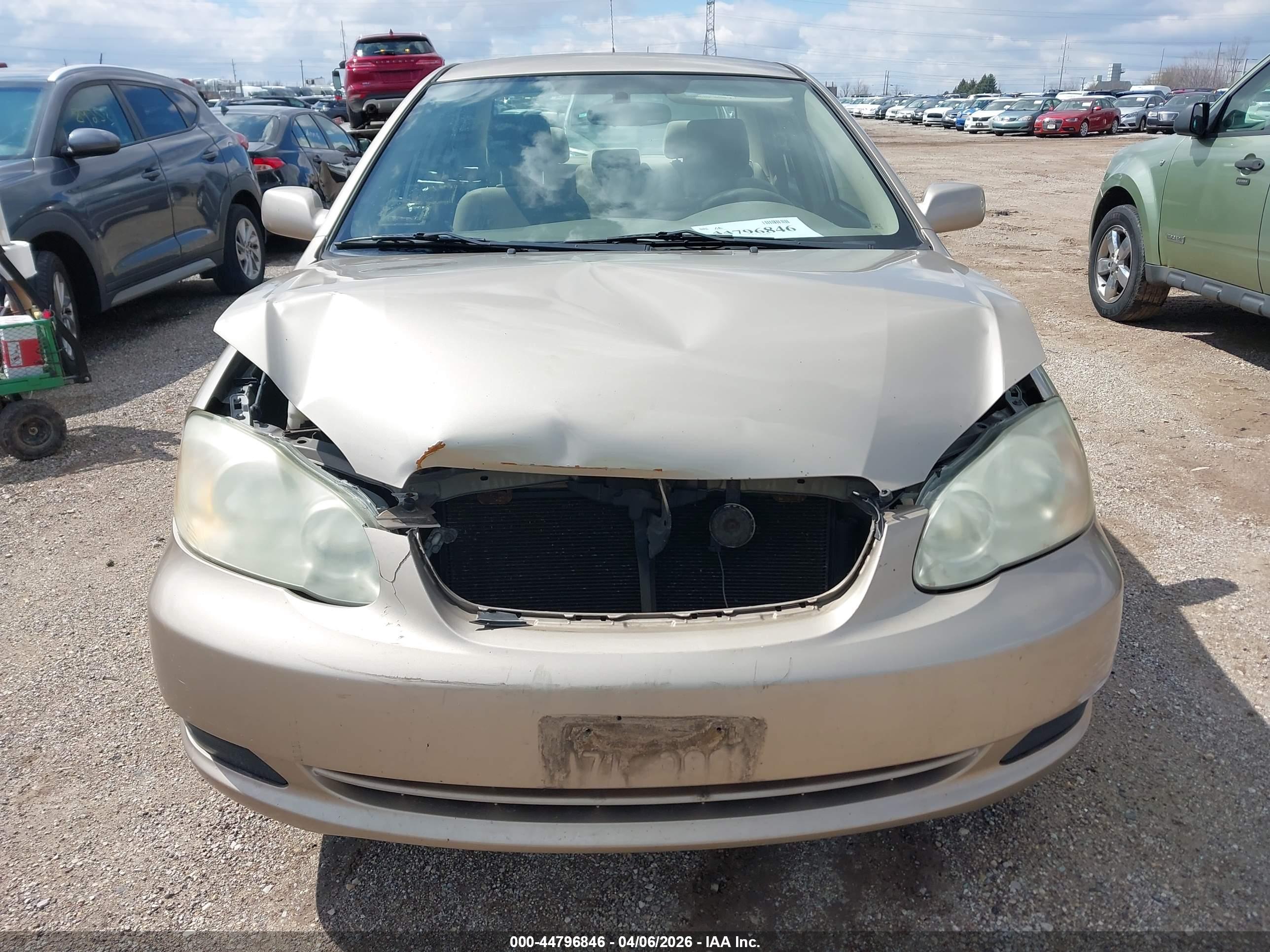 TOYOTA COROLLA image 6