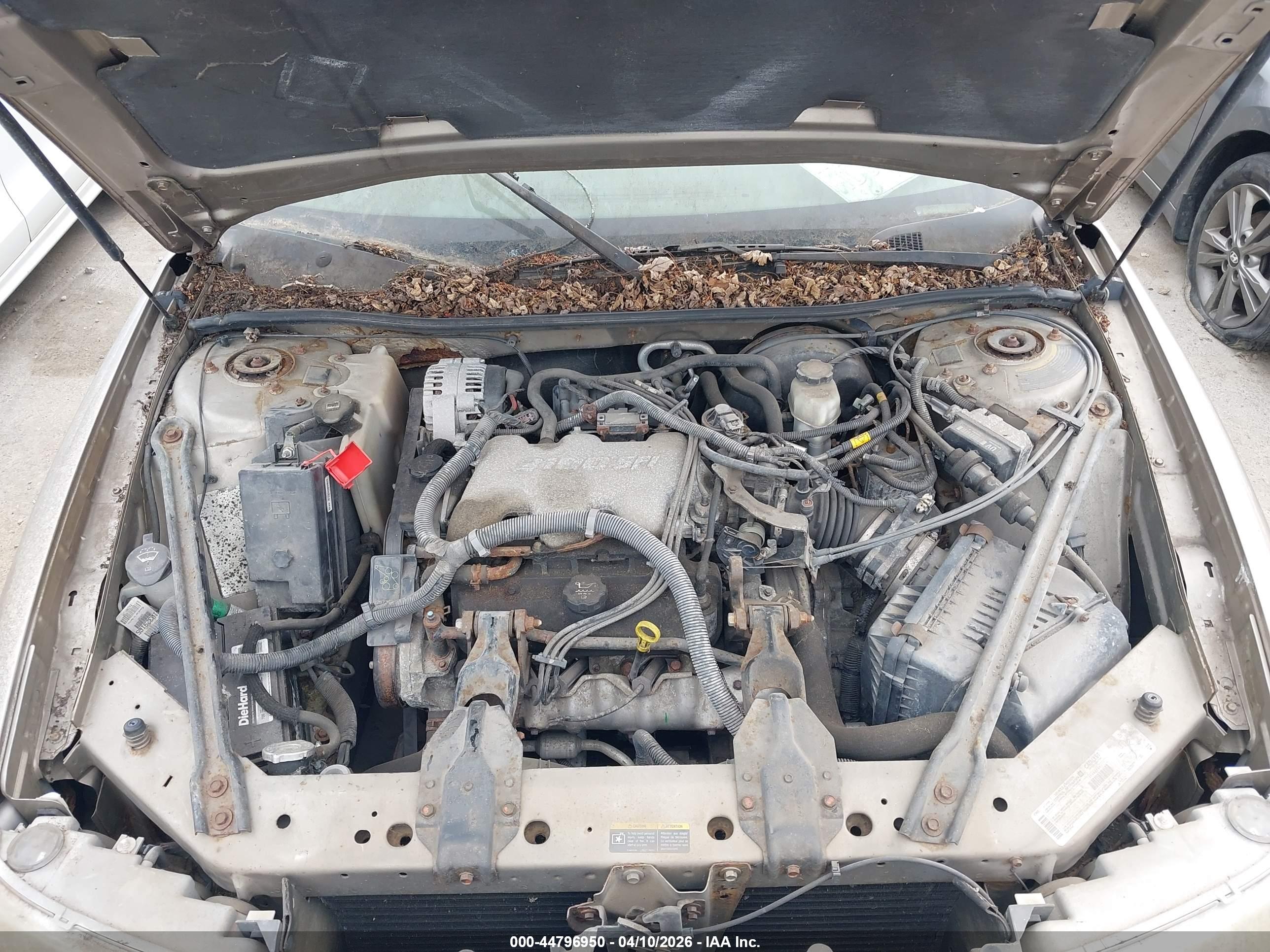 BUICK CENTURY image 10