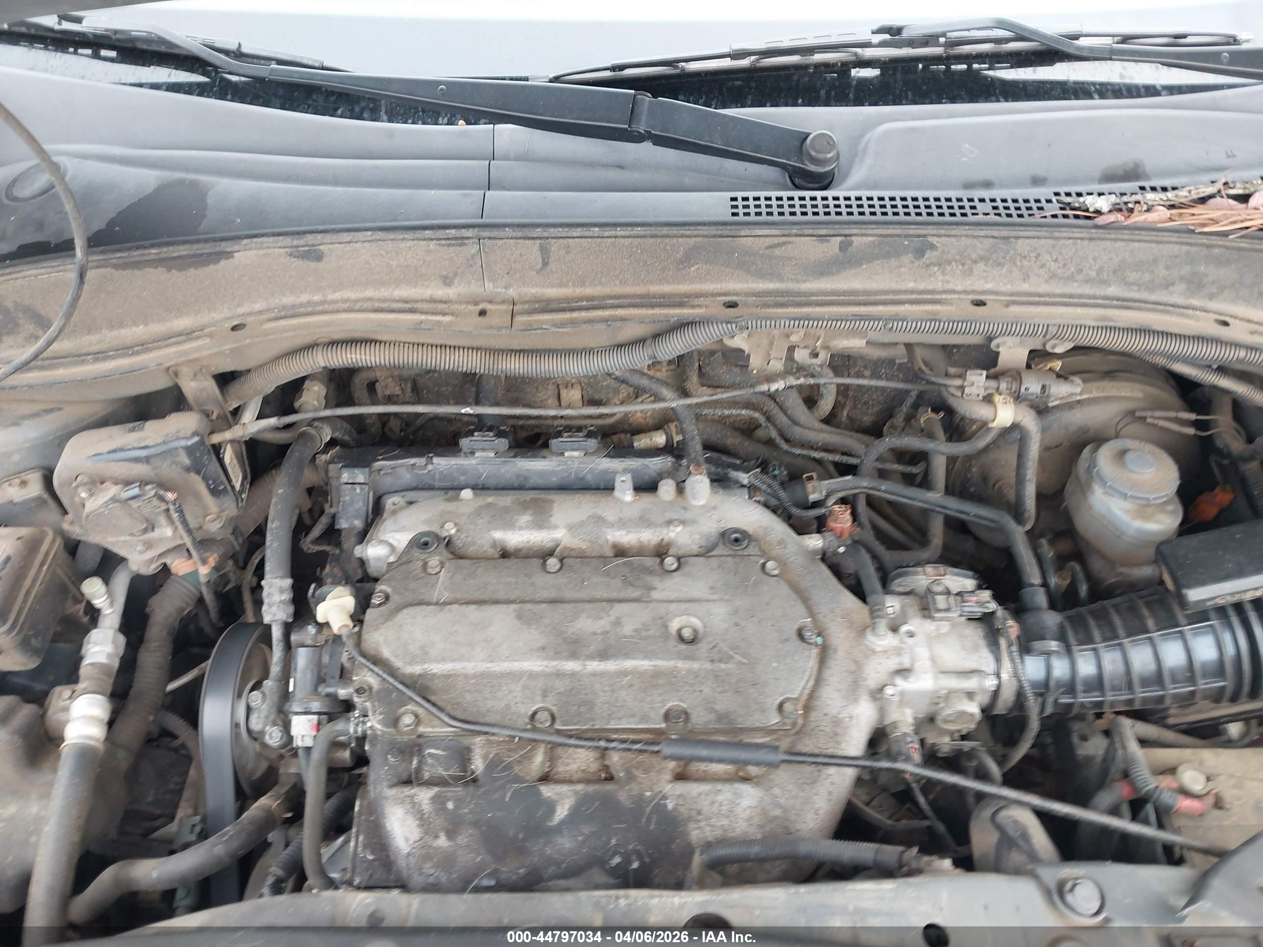 HONDA PILOT image 10