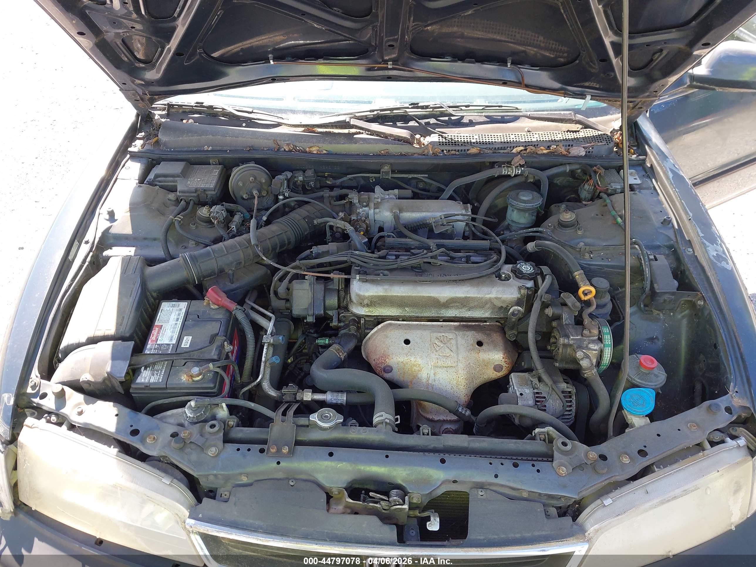 HONDA ACCORD image 10