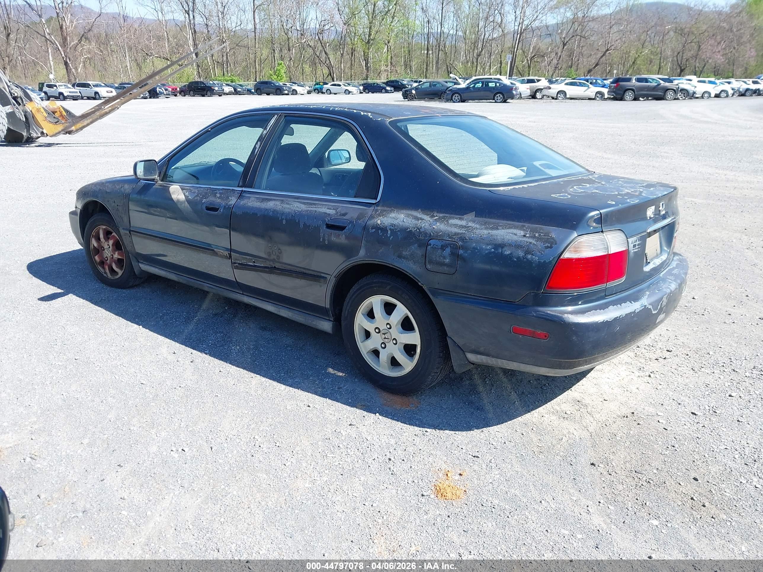 HONDA ACCORD image 3