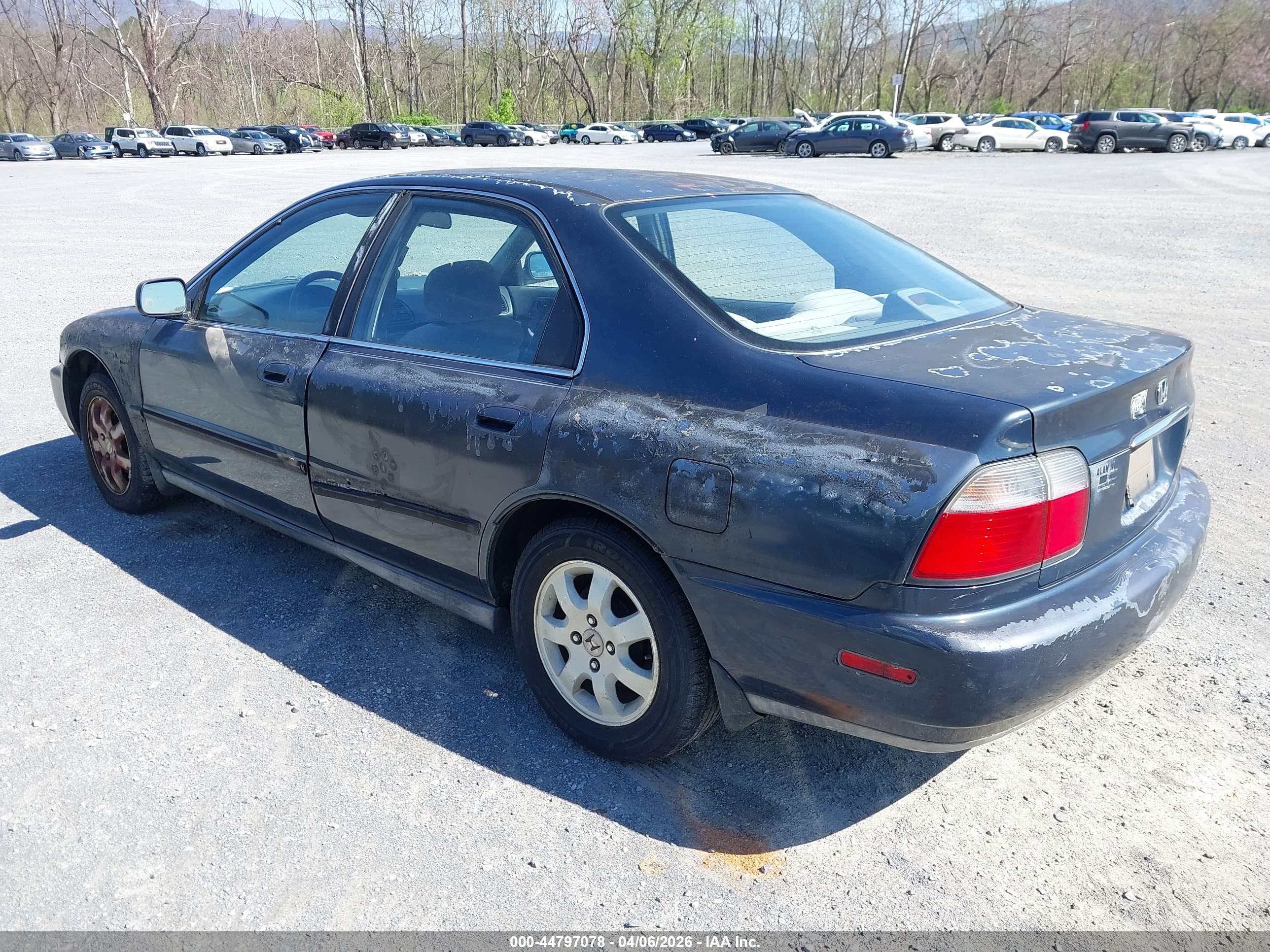 HONDA ACCORD image 6