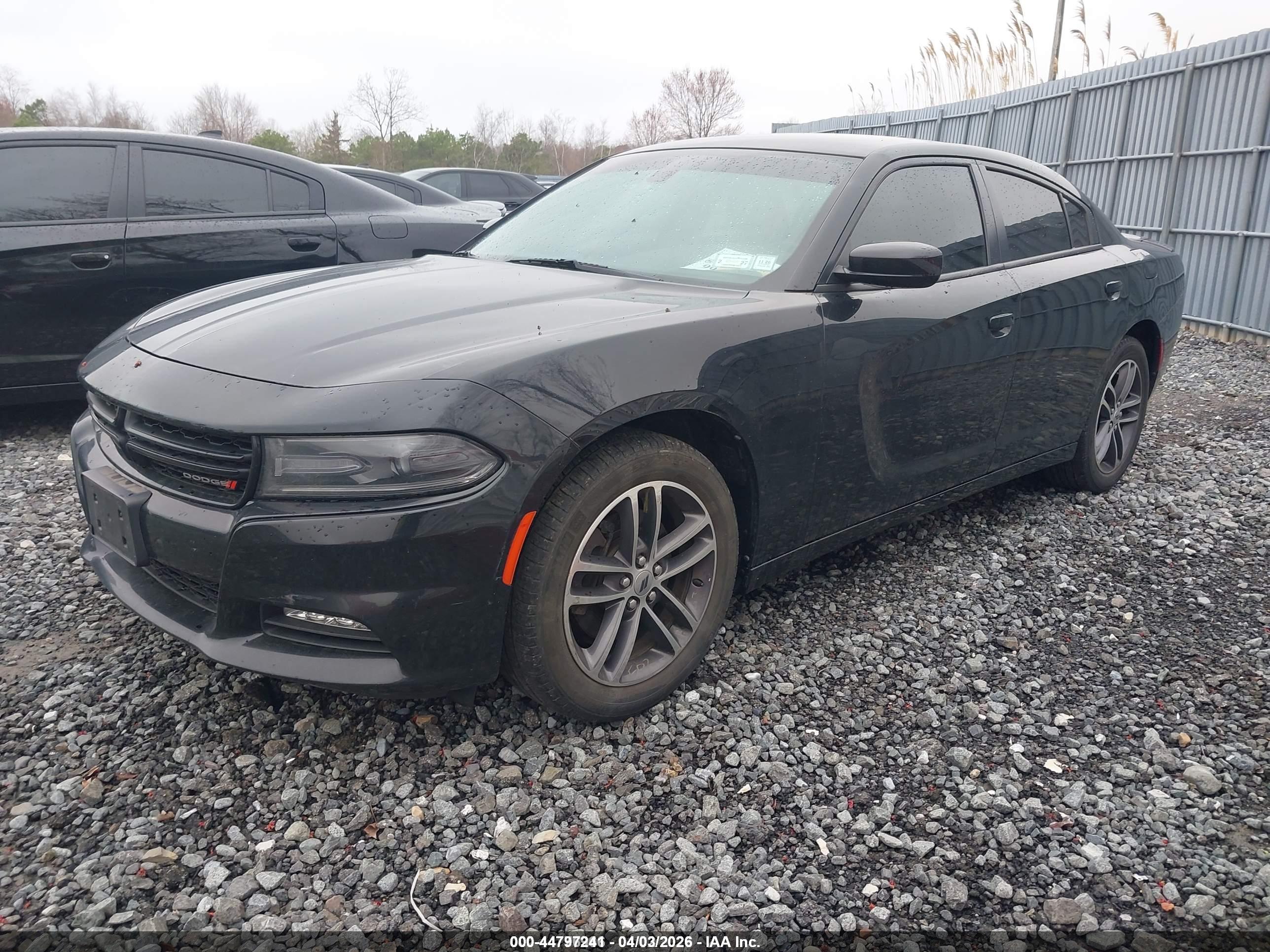 DODGE CHARGER image 2