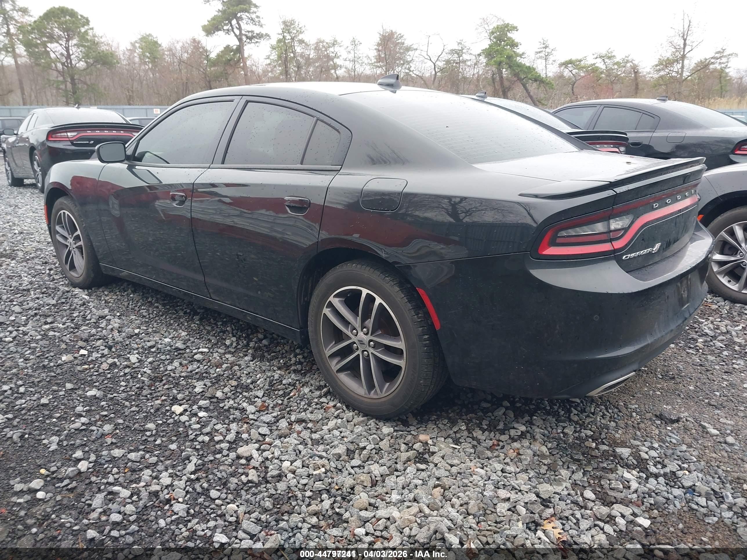 DODGE CHARGER image 3