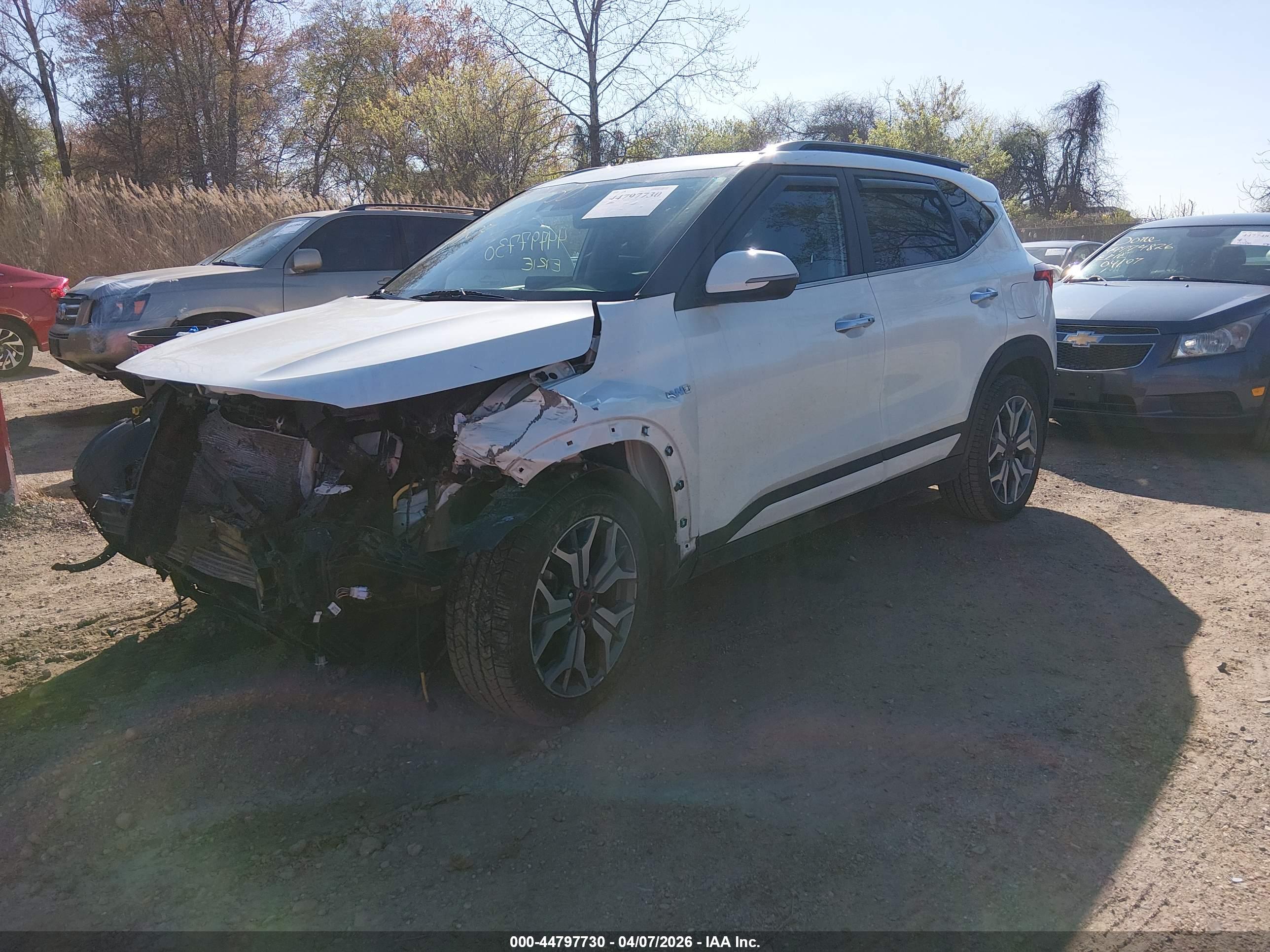 KIA SELTOS image 2