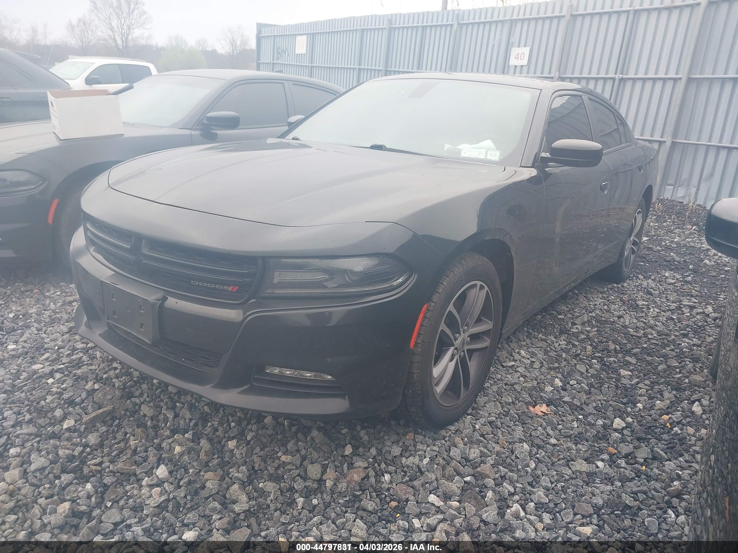 DODGE CHARGER image 2