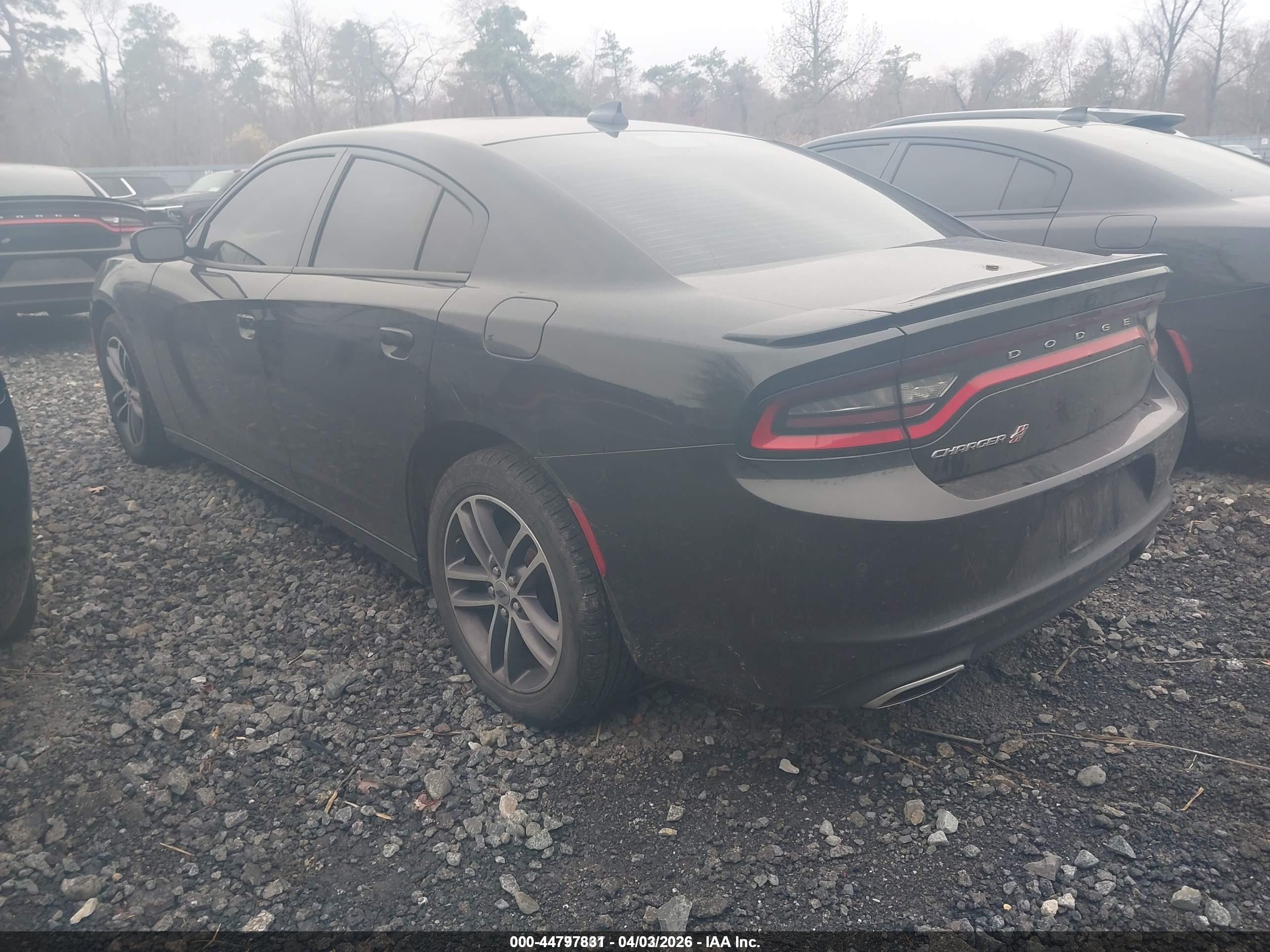 DODGE CHARGER image 3