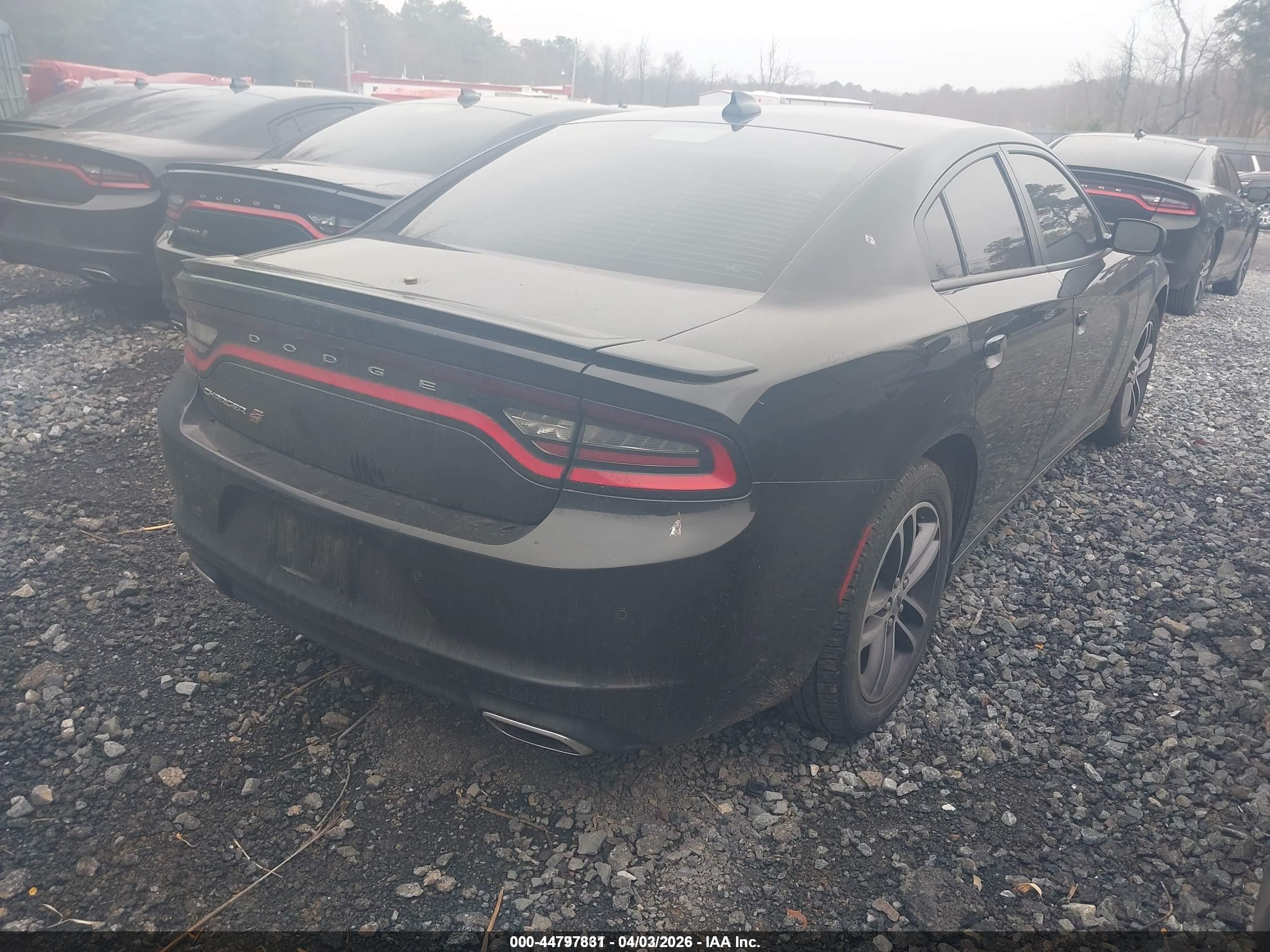 DODGE CHARGER image 4