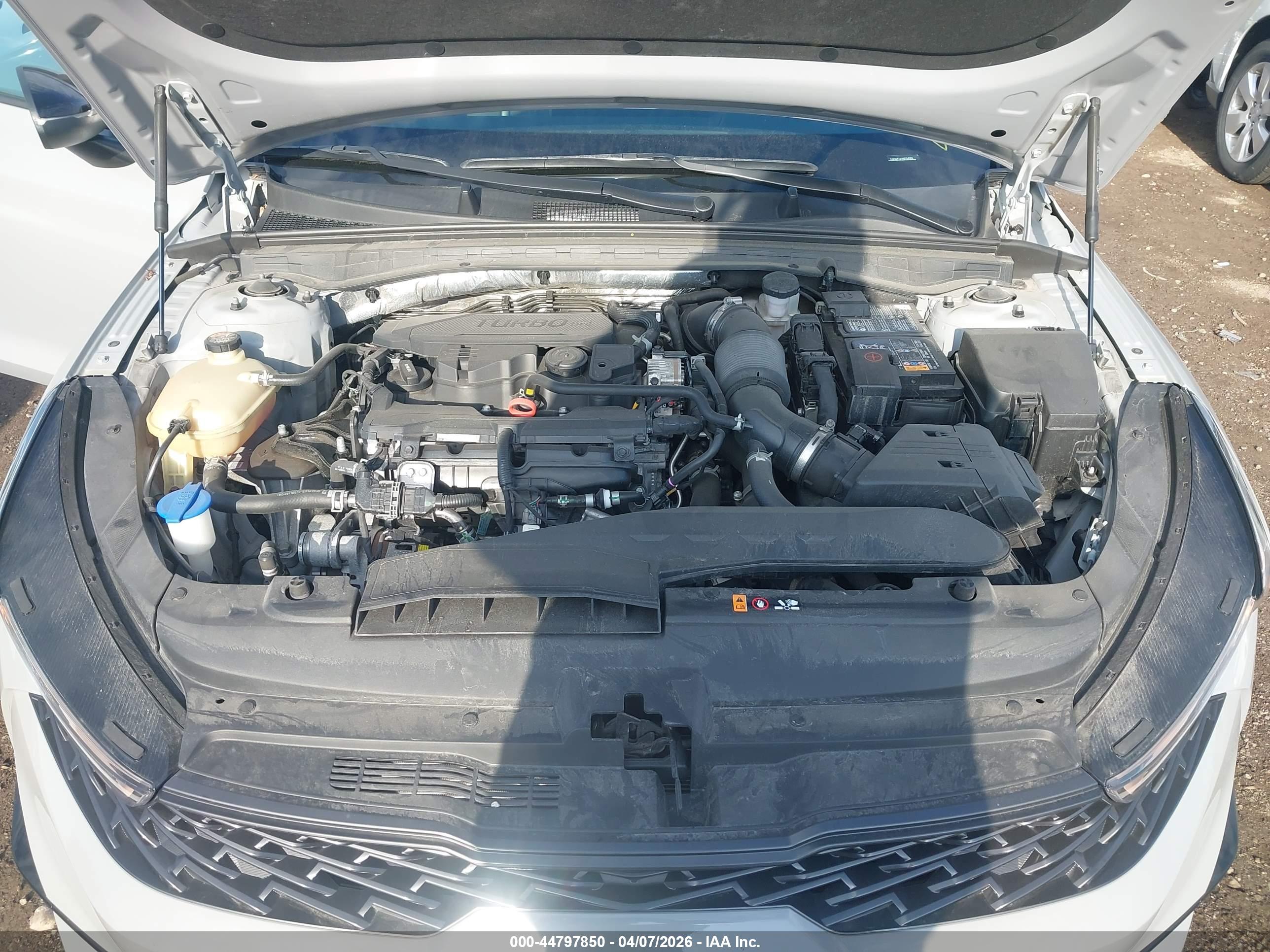 KIA K5 image 10