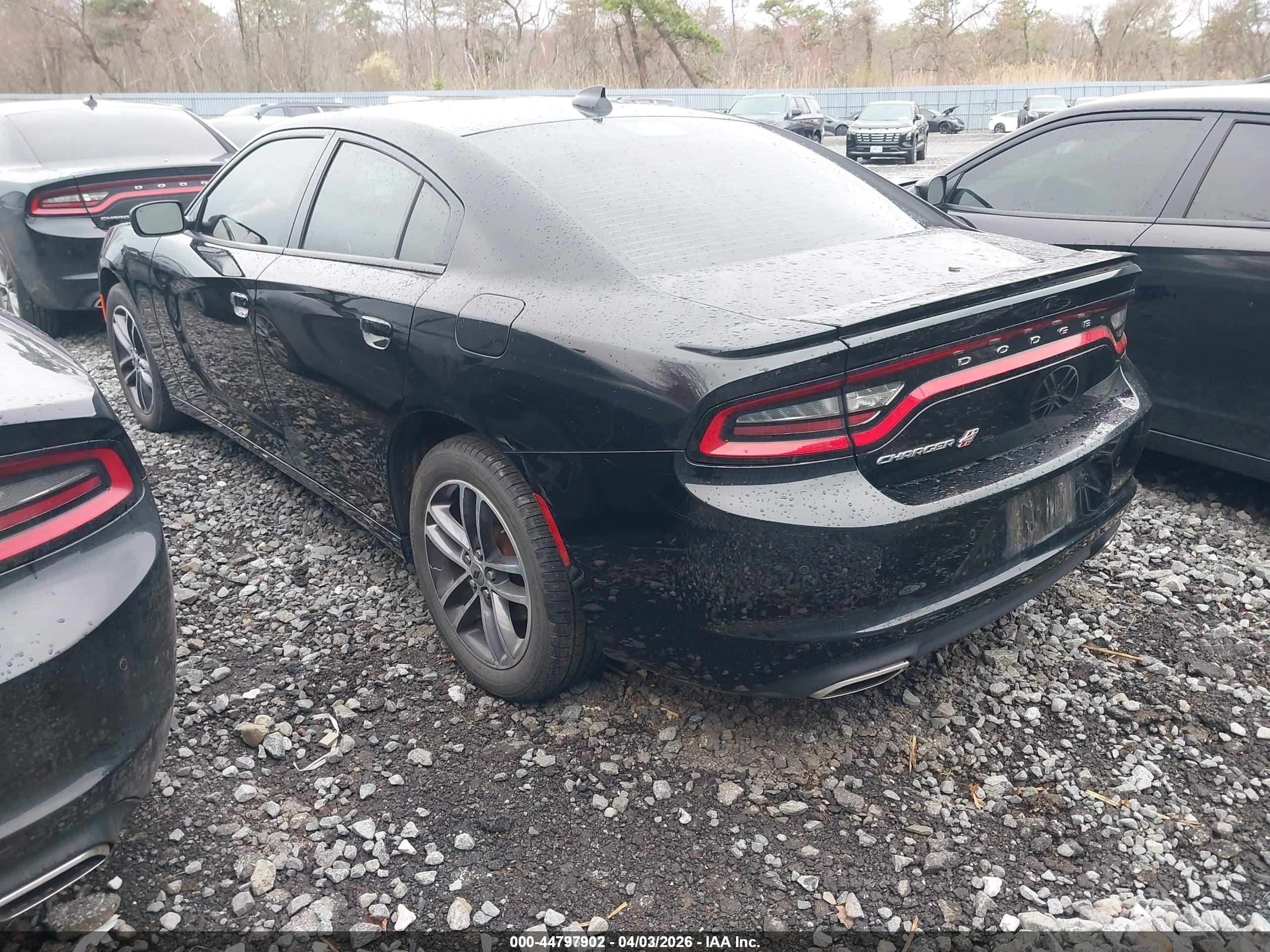DODGE CHARGER image 3
