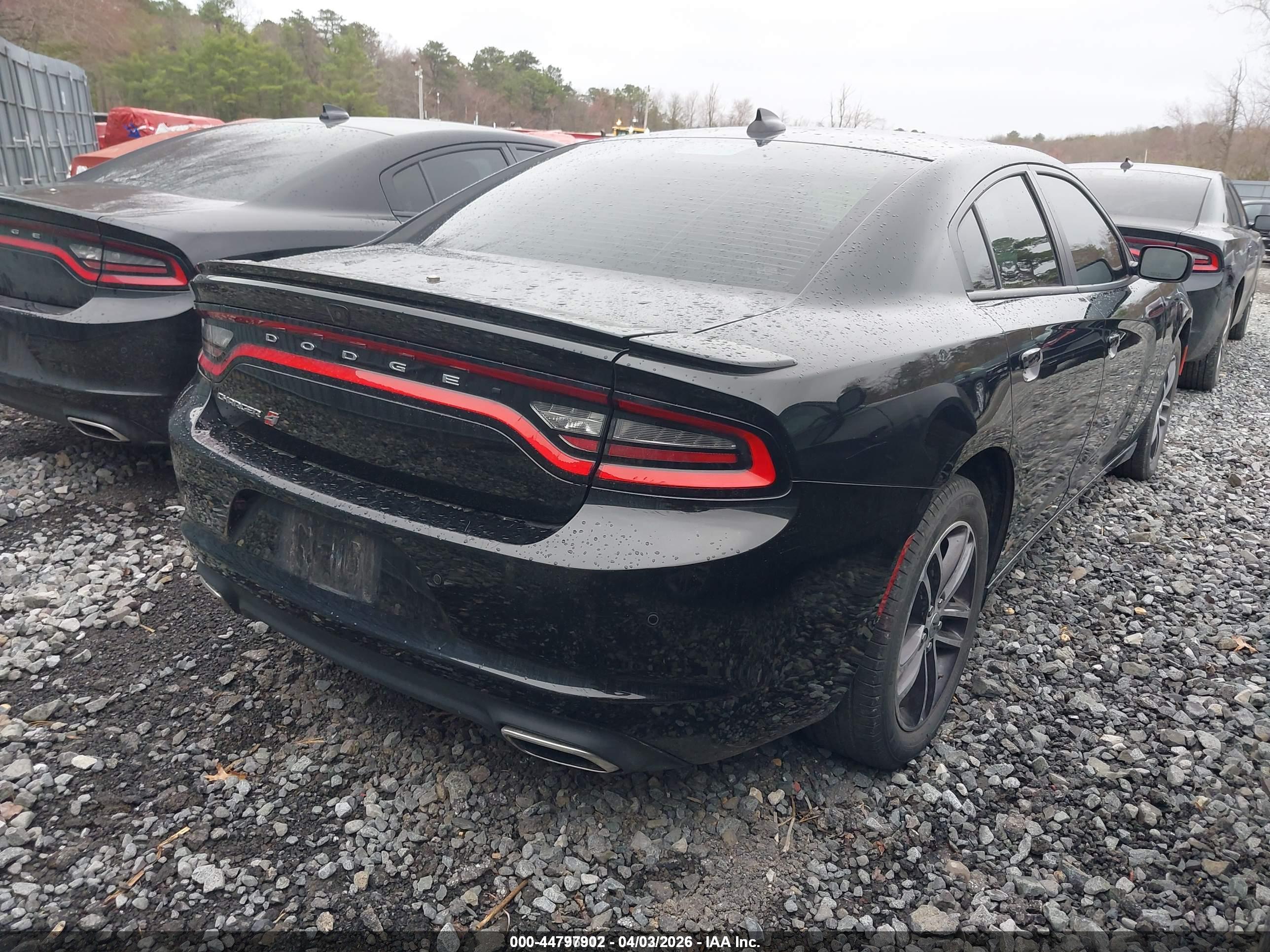 DODGE CHARGER image 4