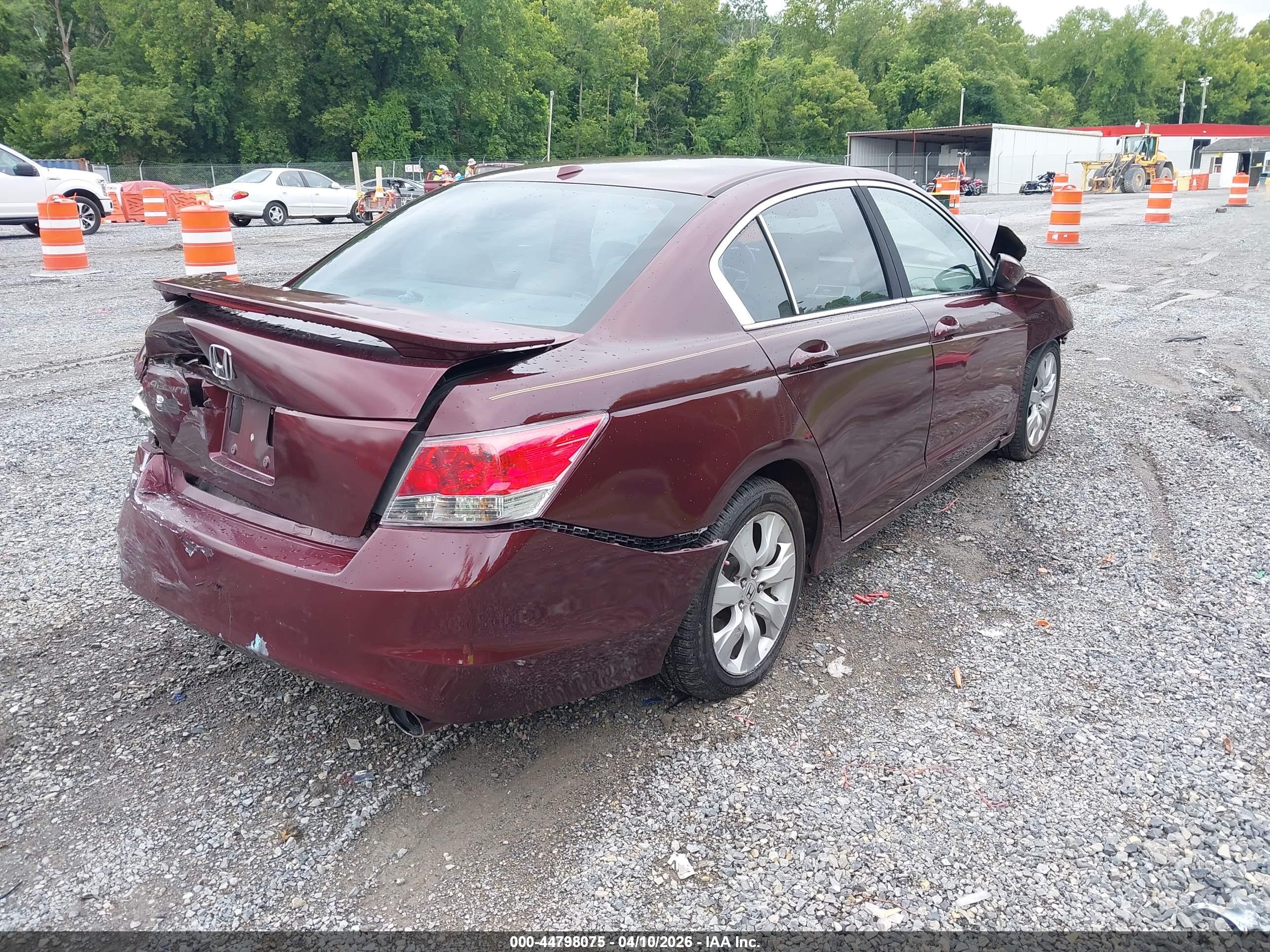 HONDA ACCORD image 4