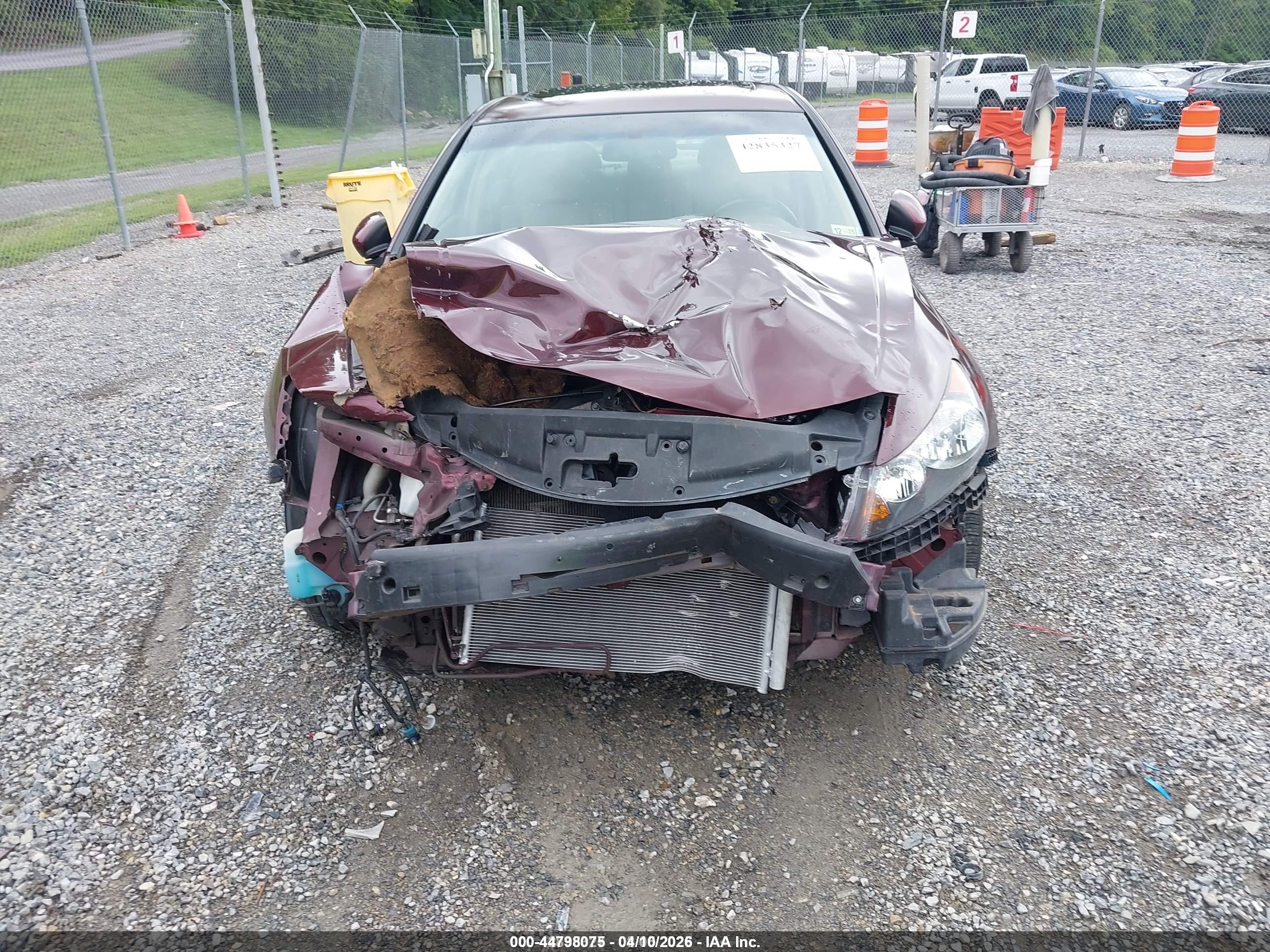 HONDA ACCORD image 6