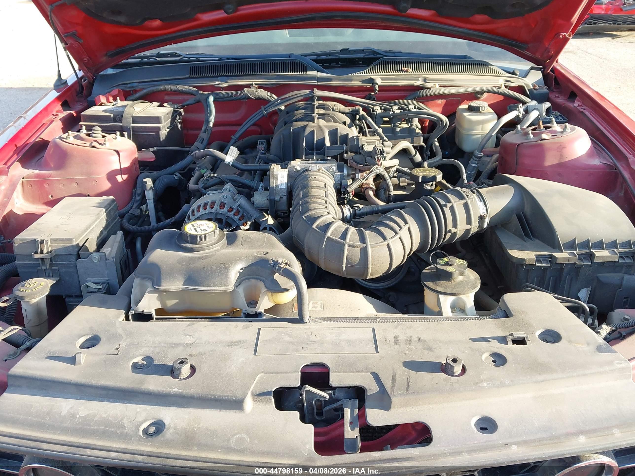 FORD MUSTANG image 10