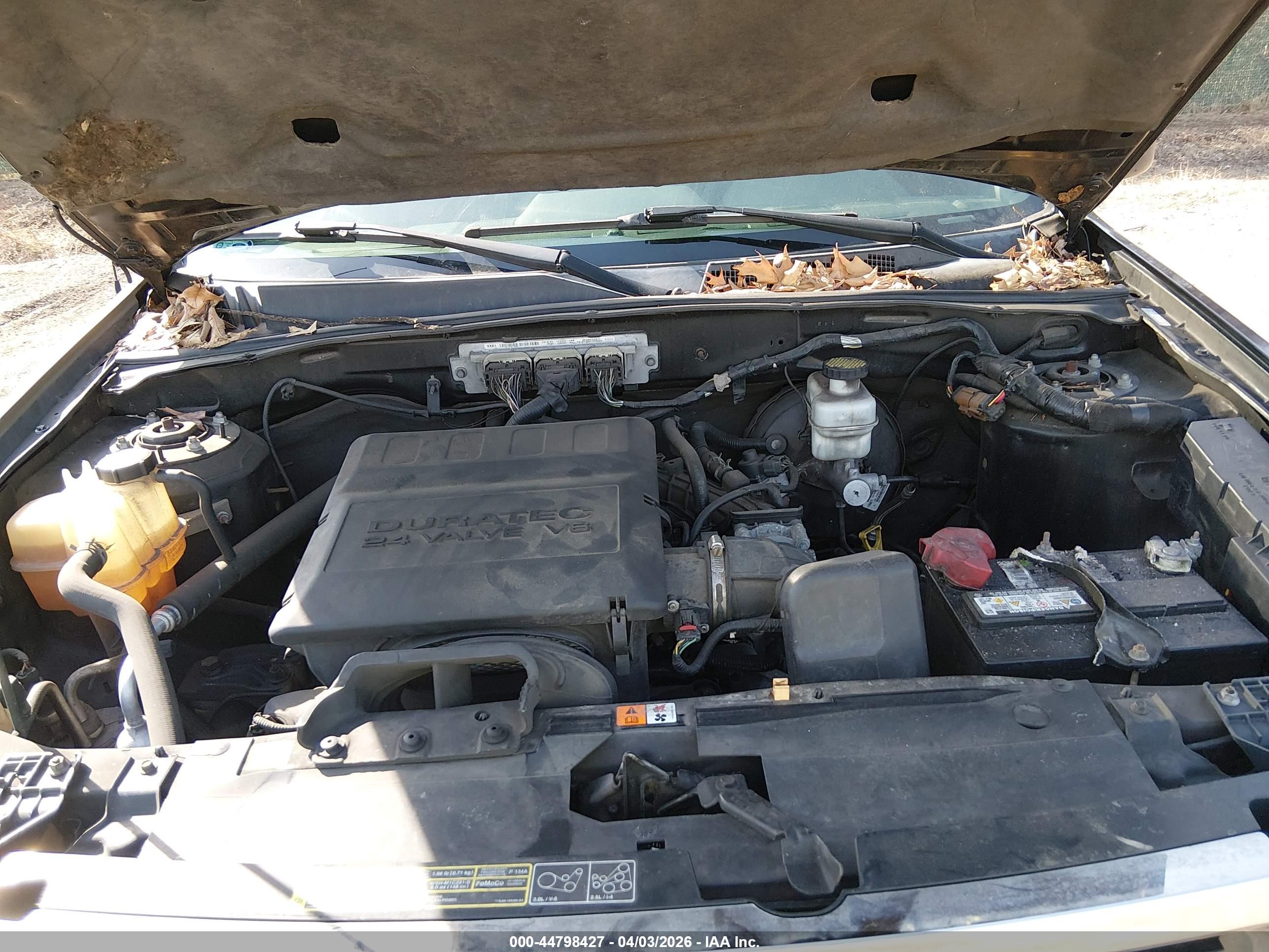 FORD ESCAPE image 10