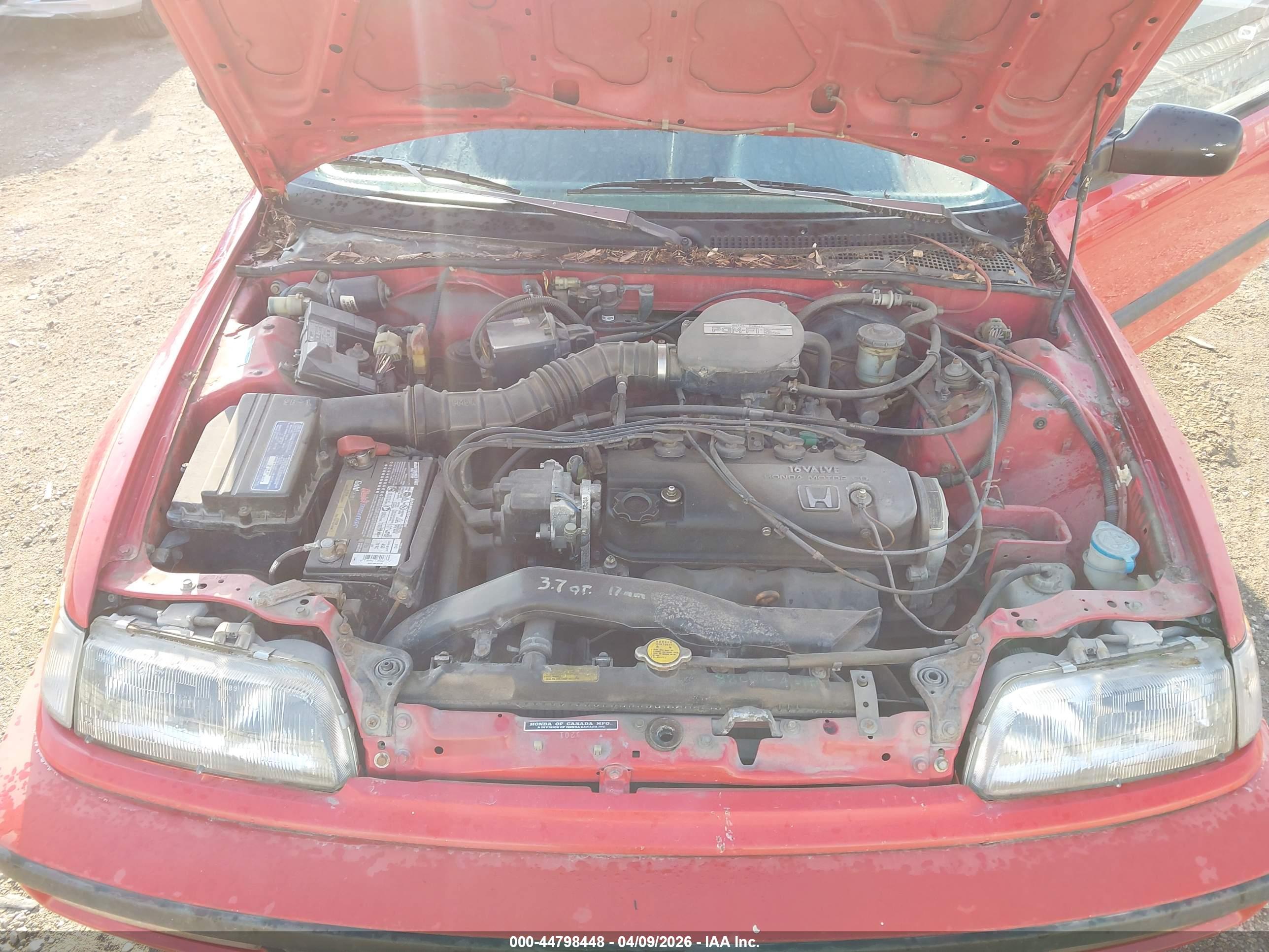 HONDA CIVIC image 10